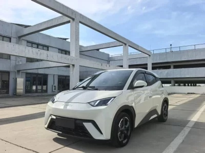 BYD Seagull