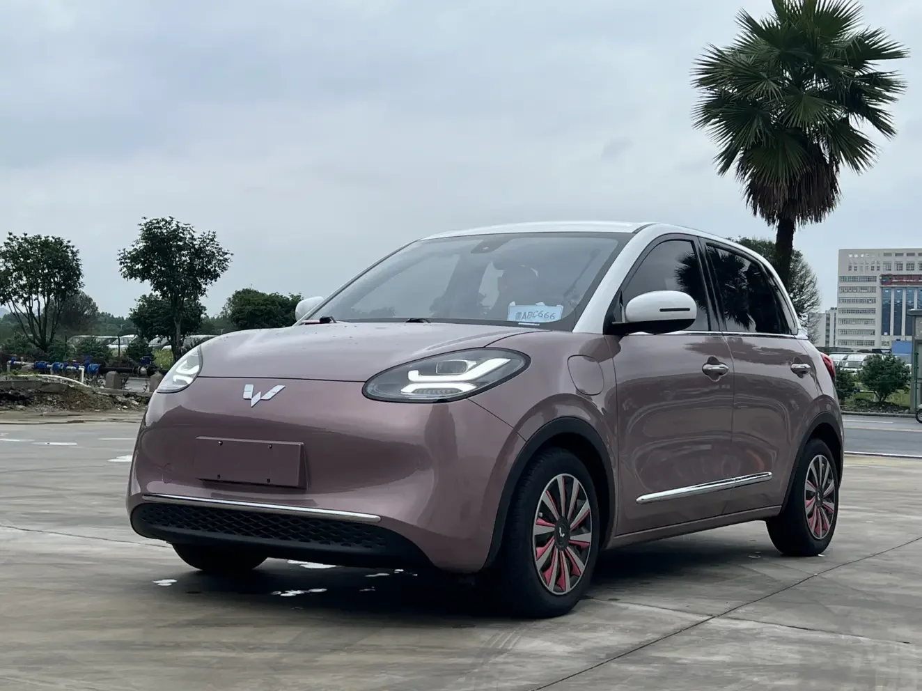 Wuling Bingo