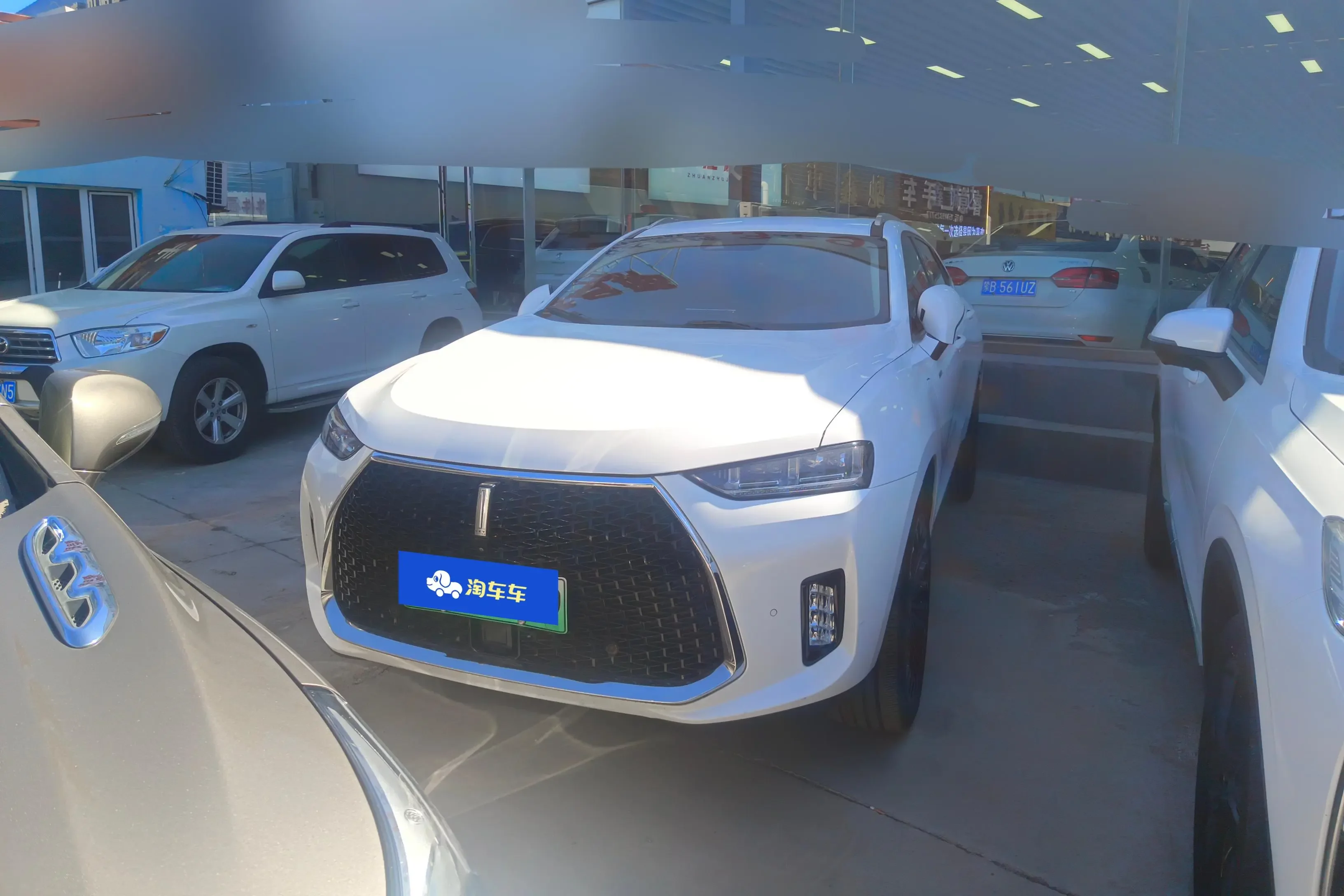 Wey Wei brand P8