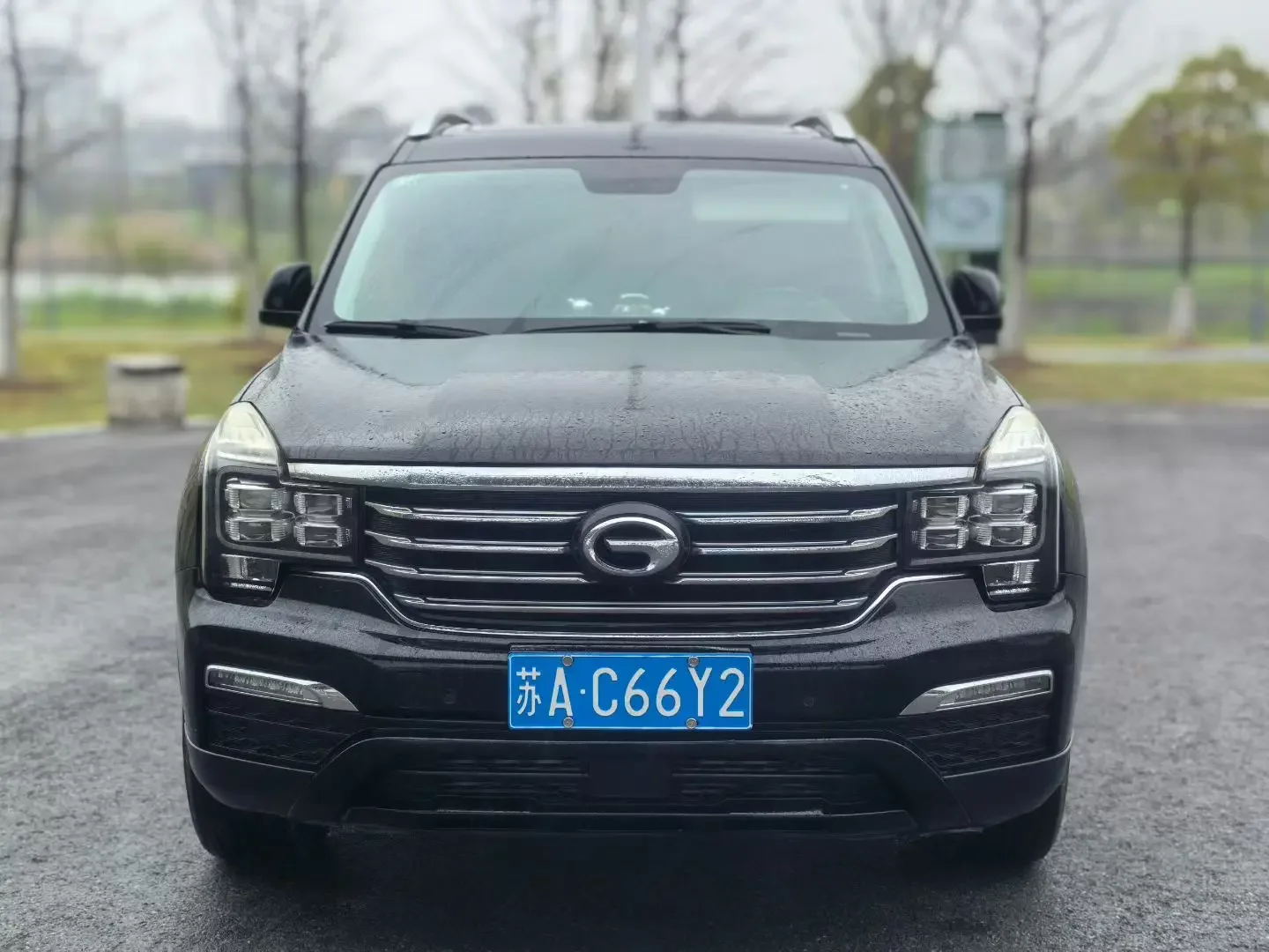 GAC Trumpchi GS8