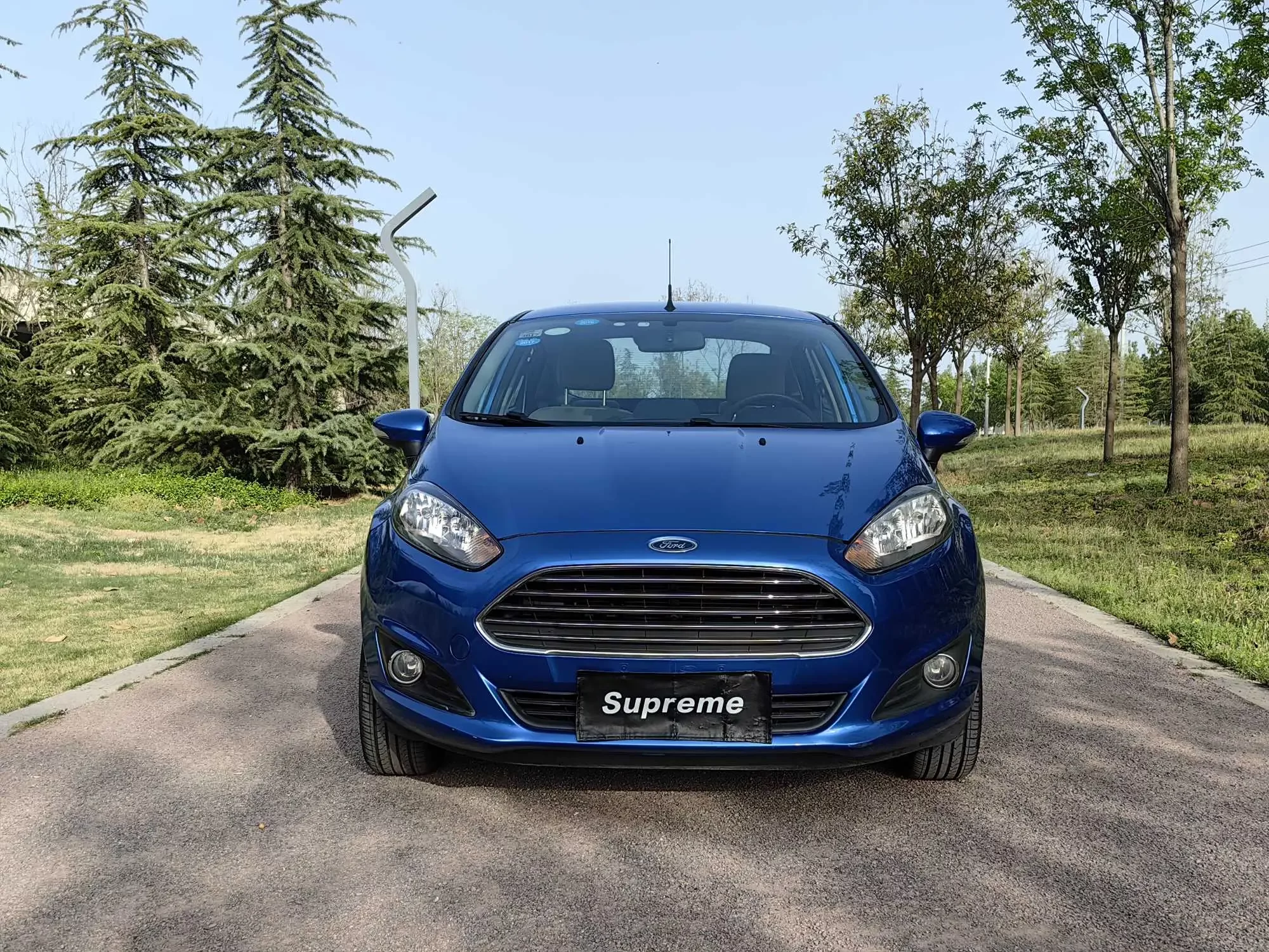 Ford carnival