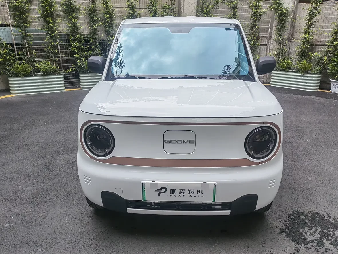 Geely panda