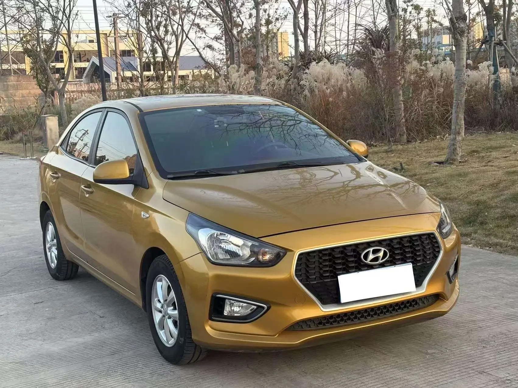 Hyundai Verna