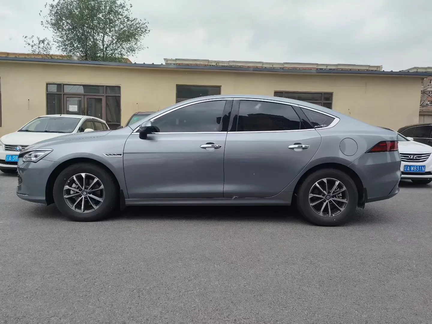BYD Qin PLUS DM