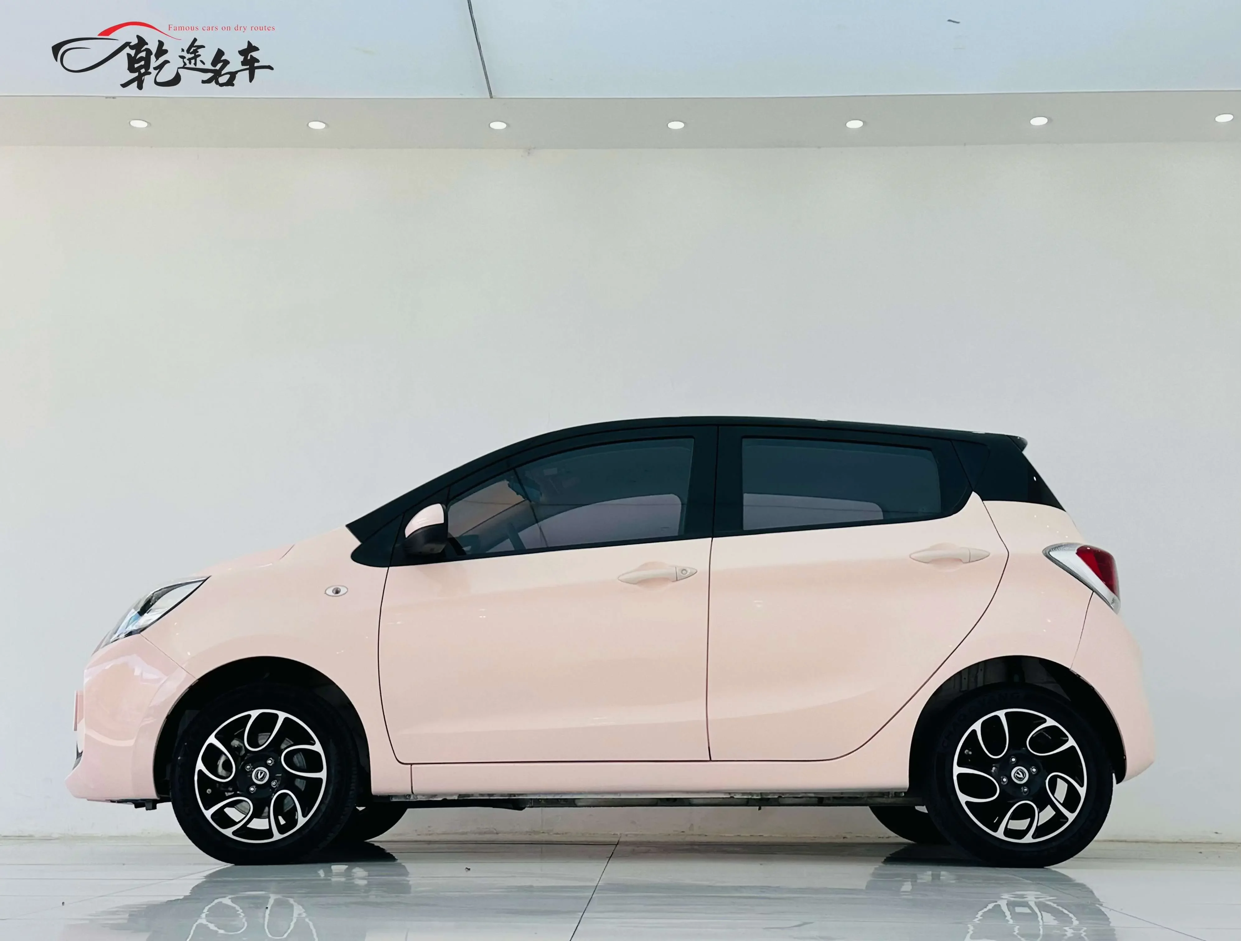 Oshan Benben E-Star