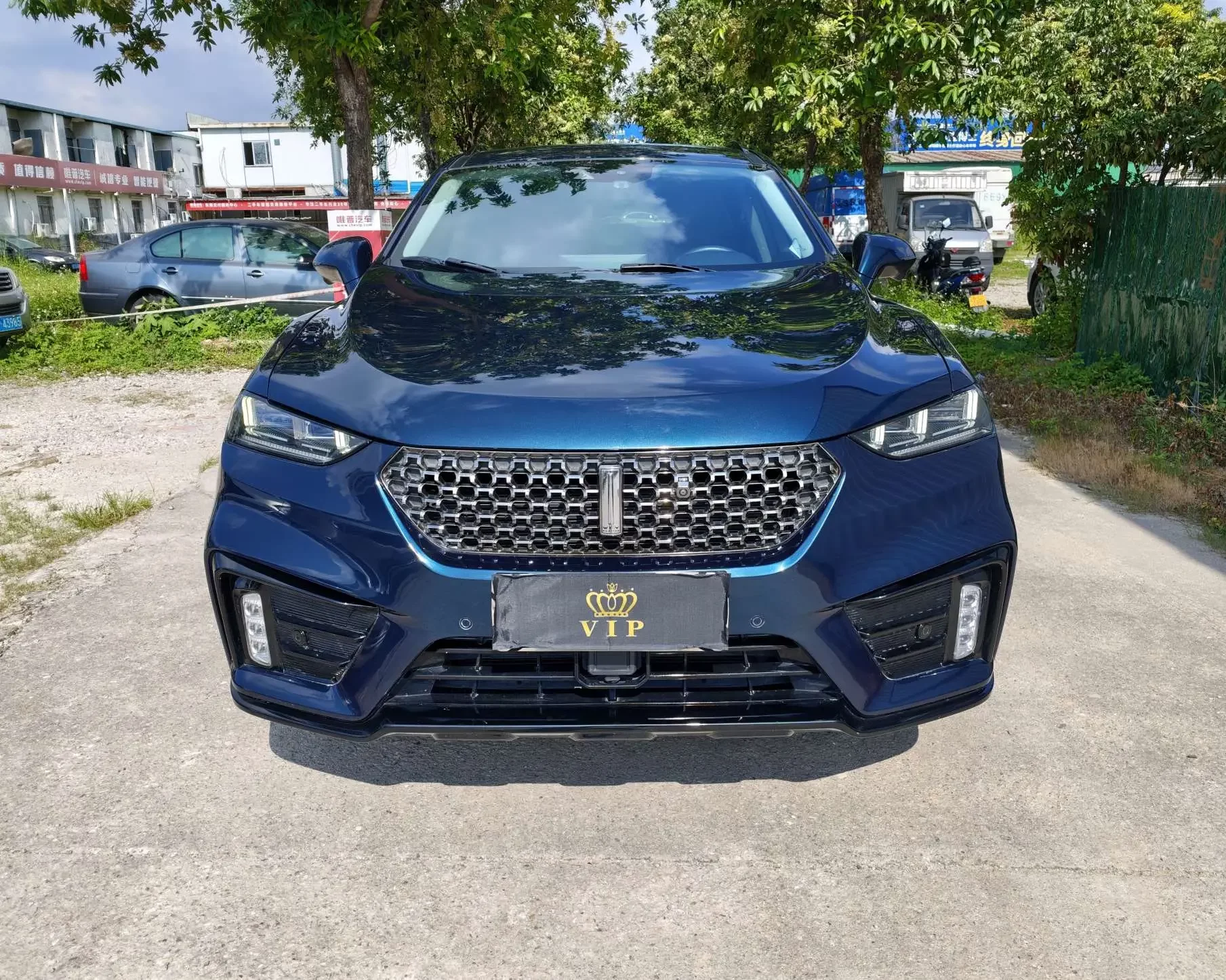 Wey Wei brand VV7