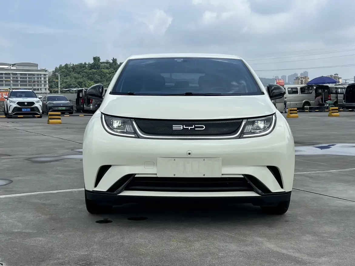 BYD dolphin