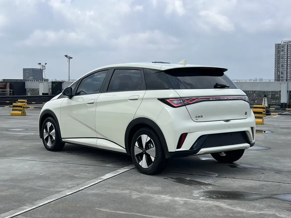 BYD dolphin