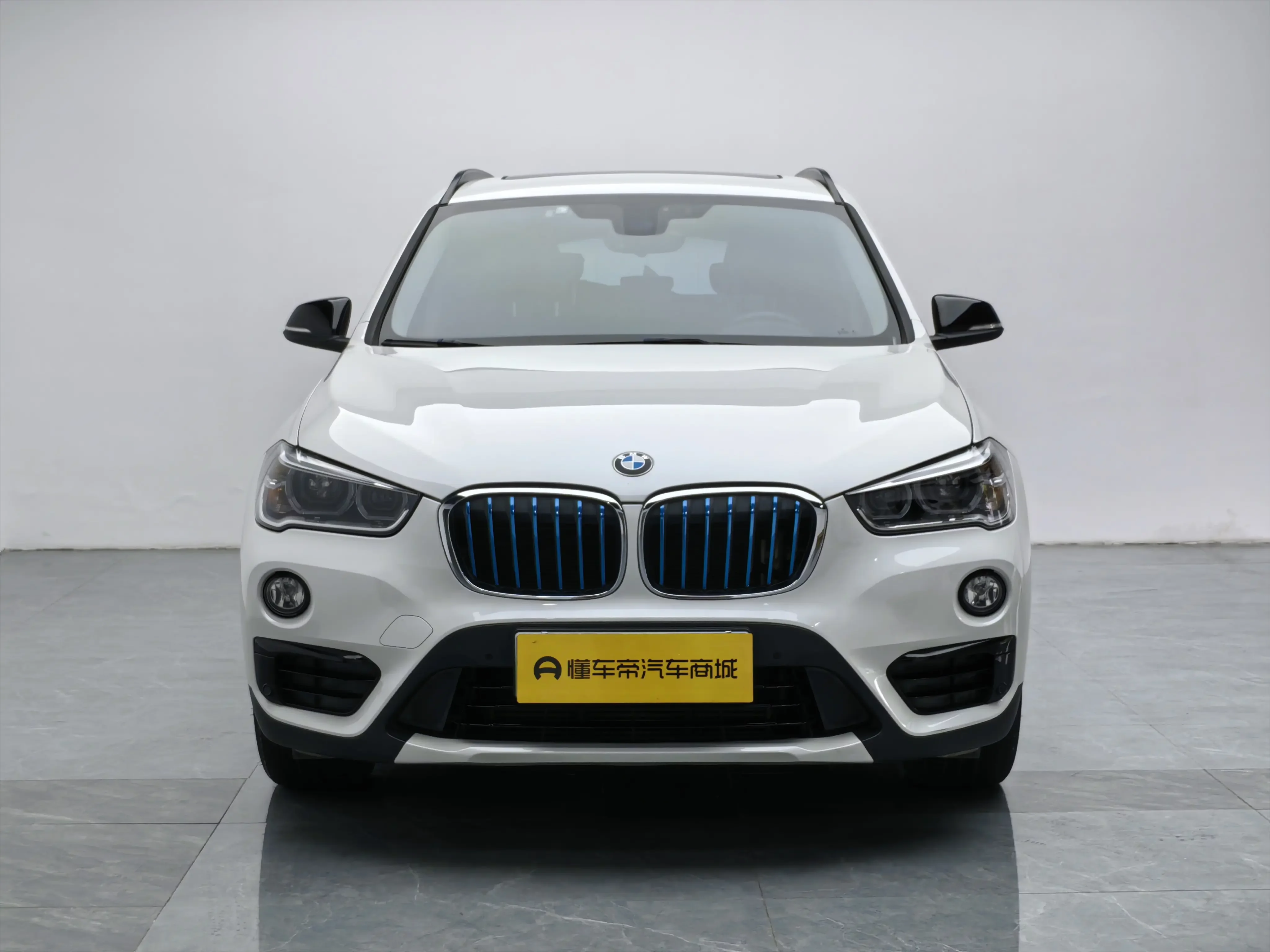 BMW X1 PHEV
