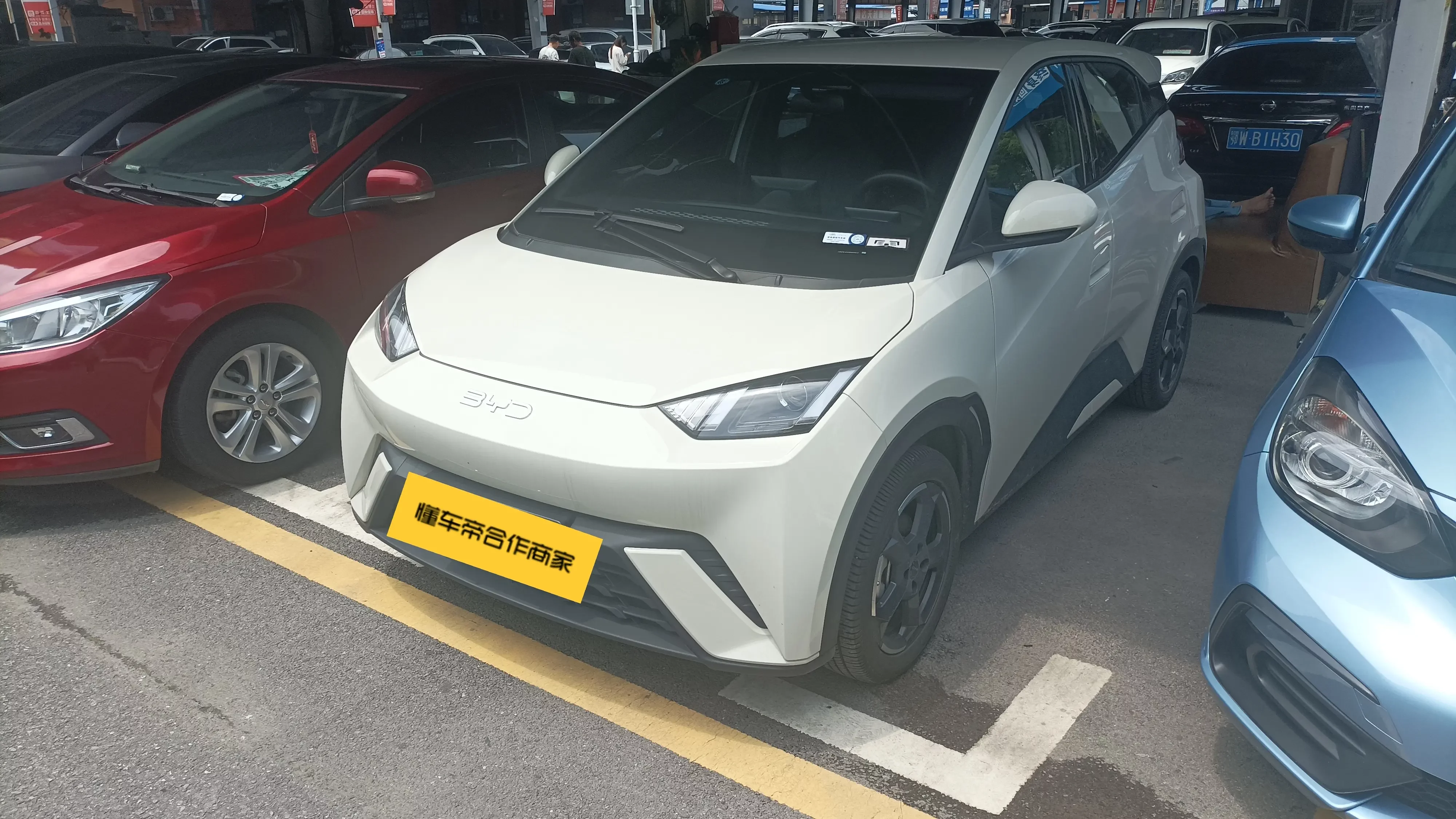 BYD seagull
