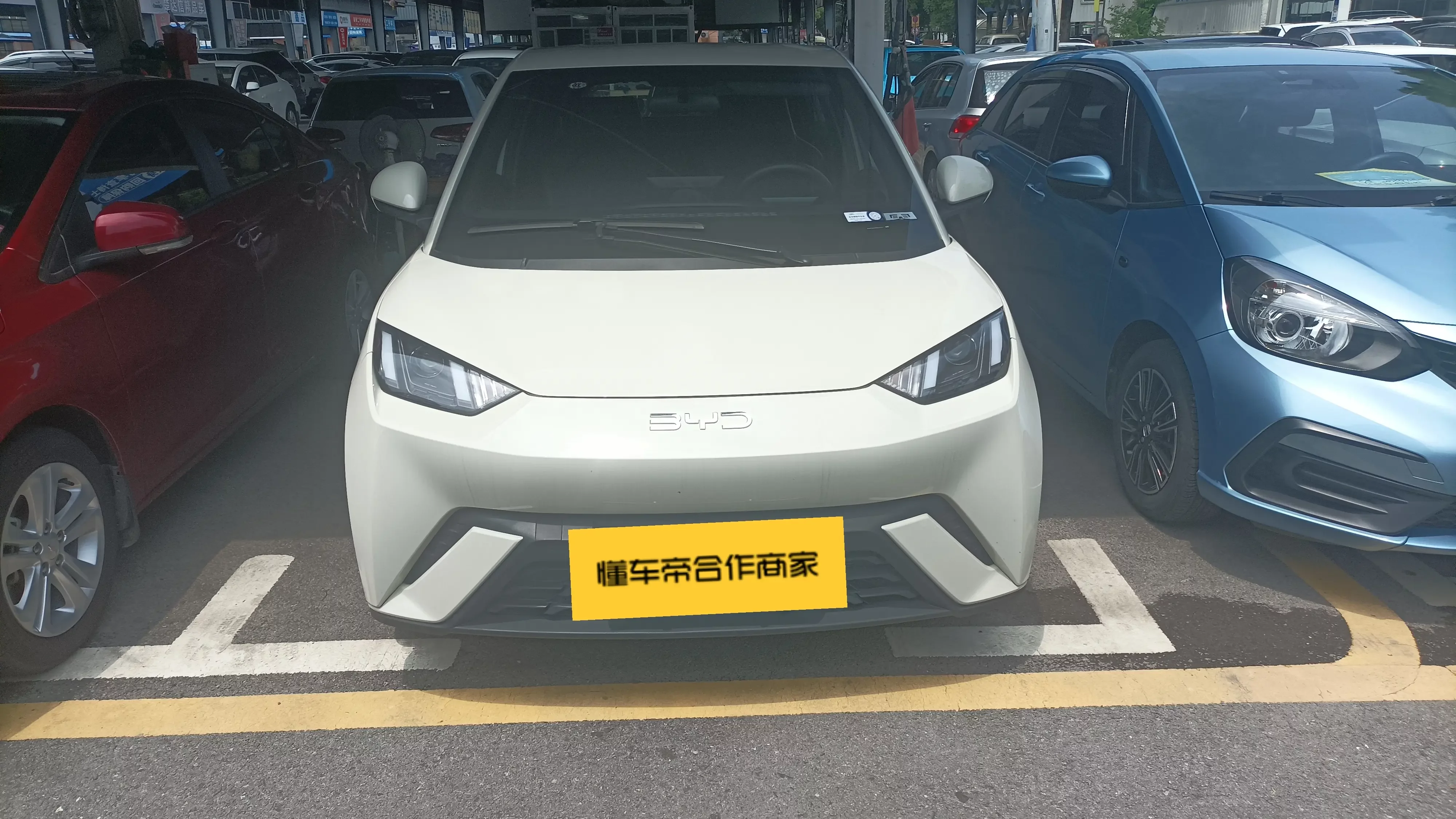 BYD seagull