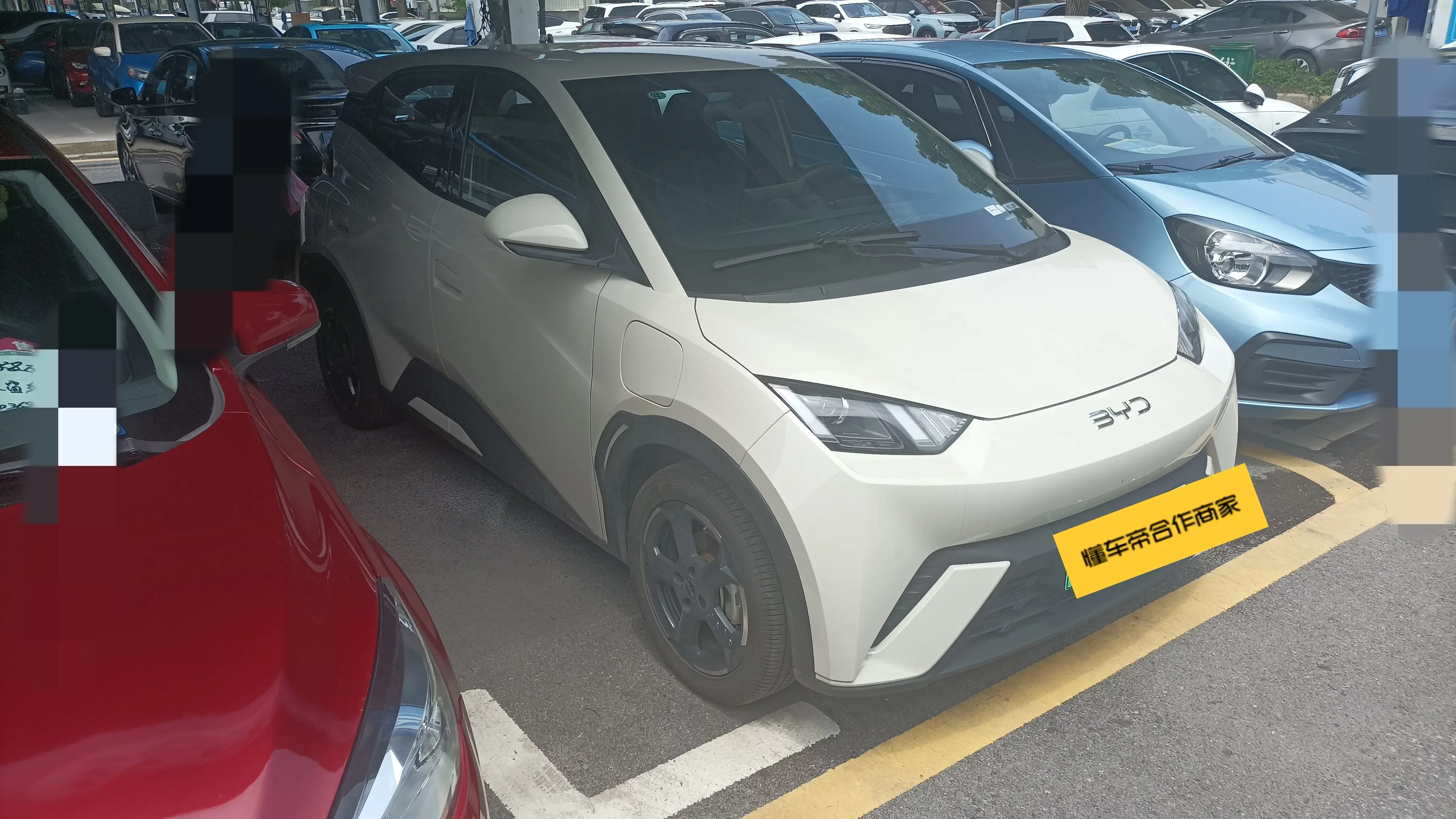 BYD seagull