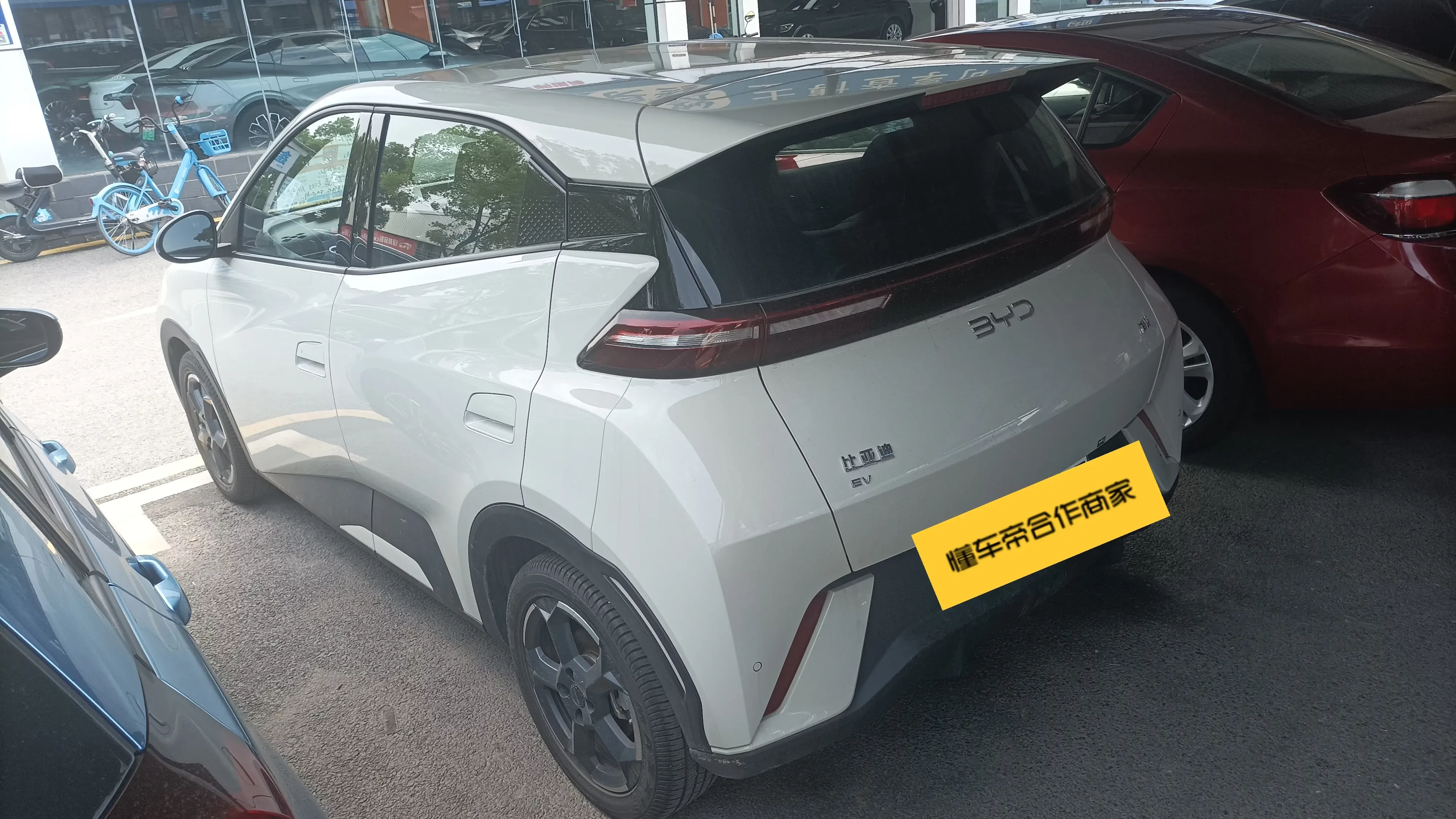 BYD seagull