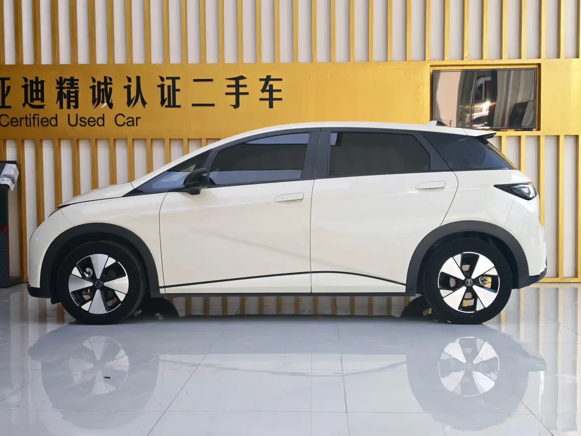 BYD dolphin