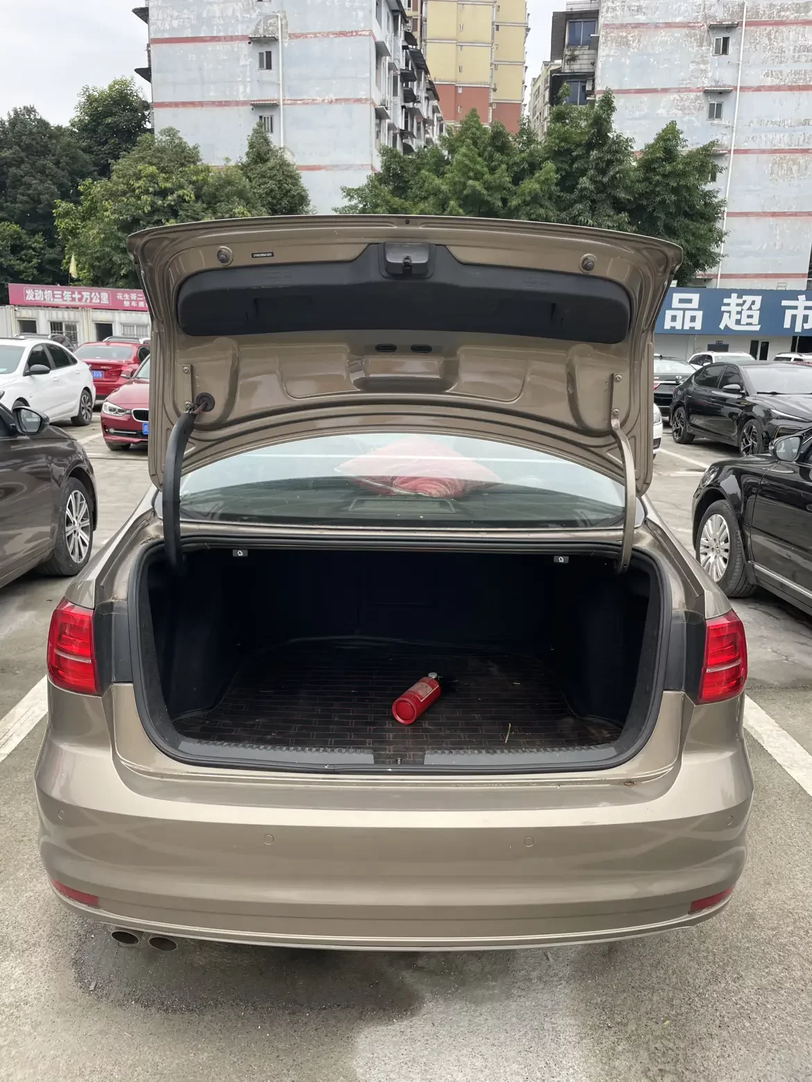 Volkswagen Sagitar
