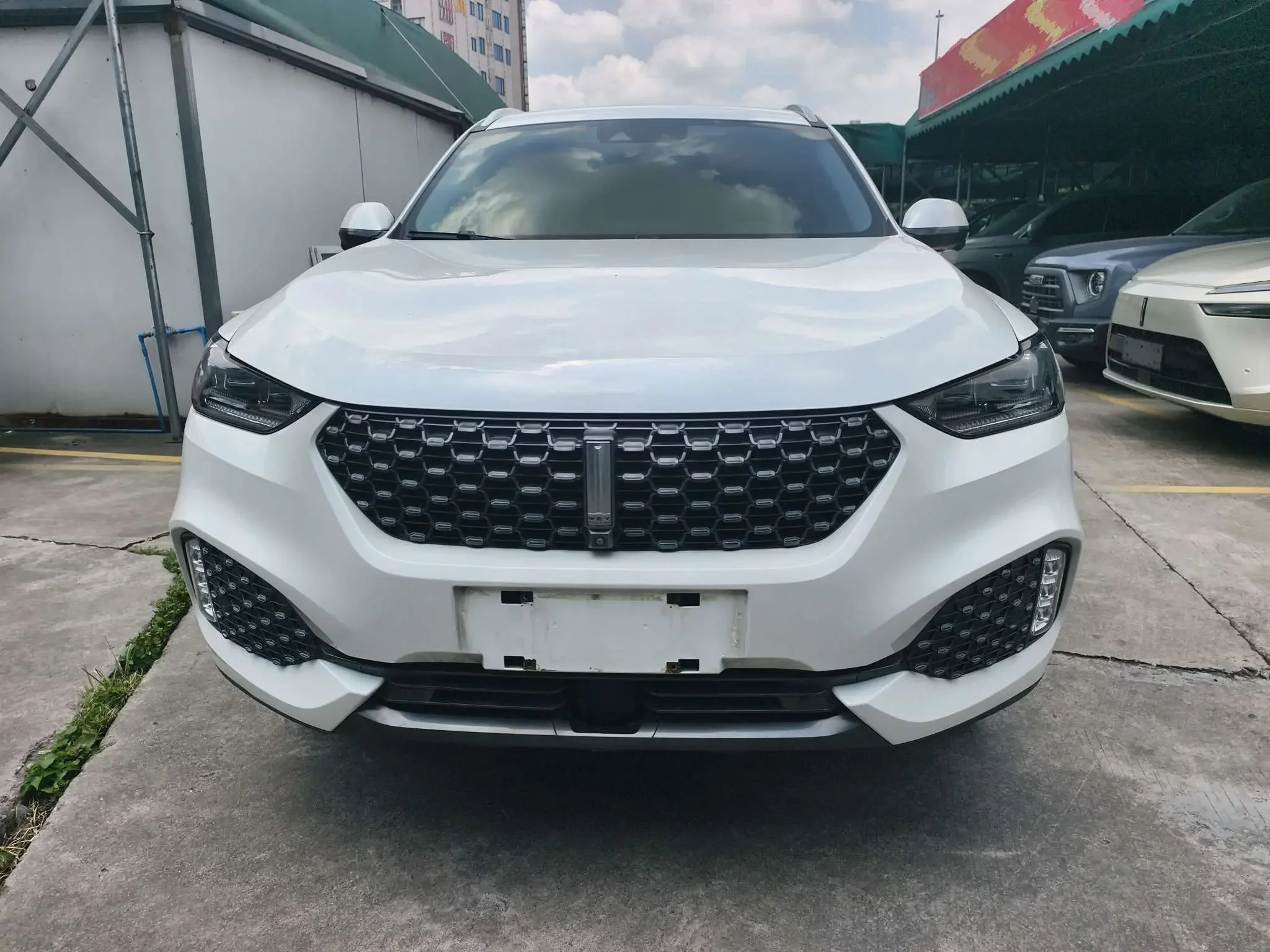 Wey Wei brand VV6