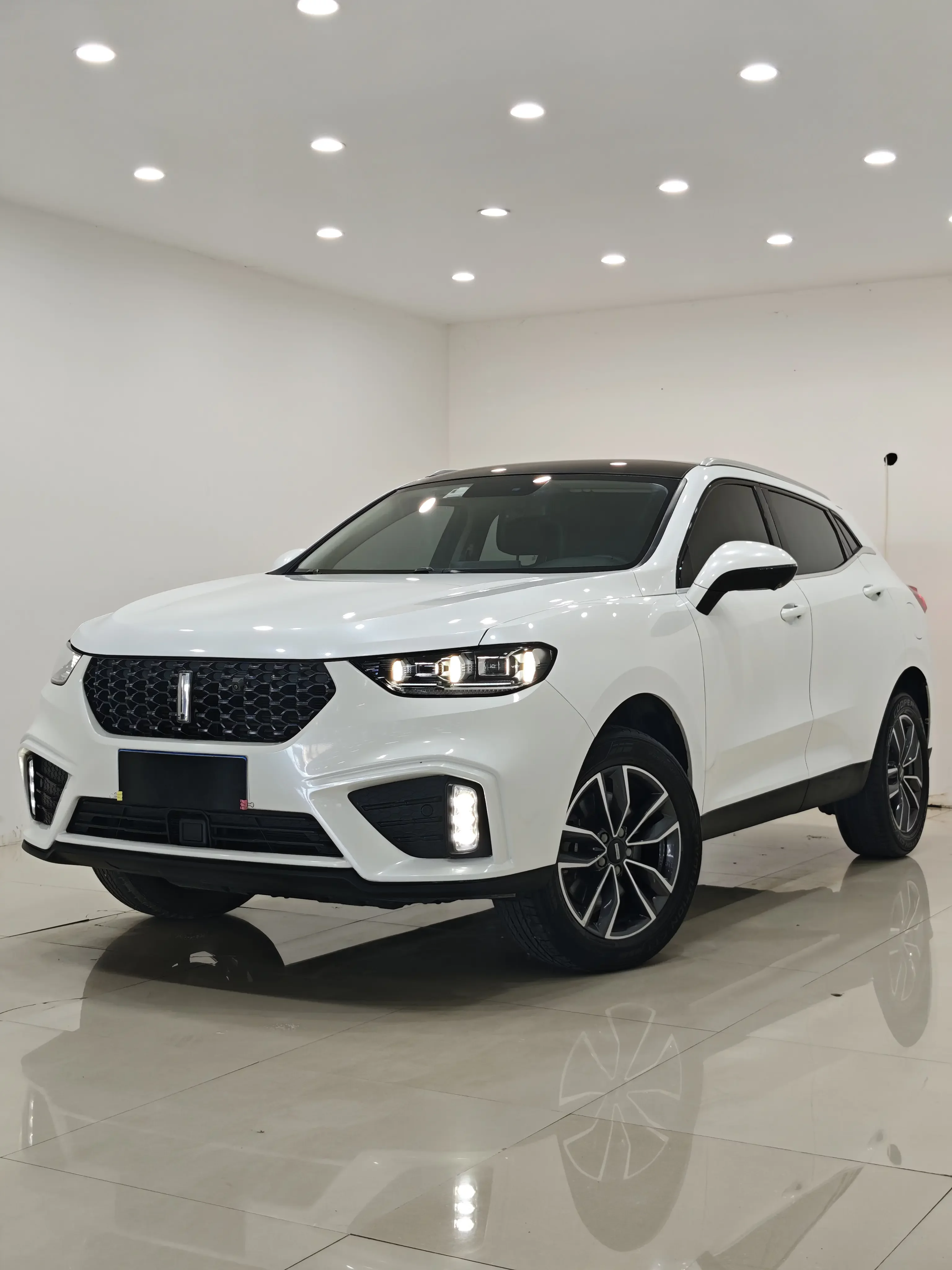 Wey Wei brand VV5