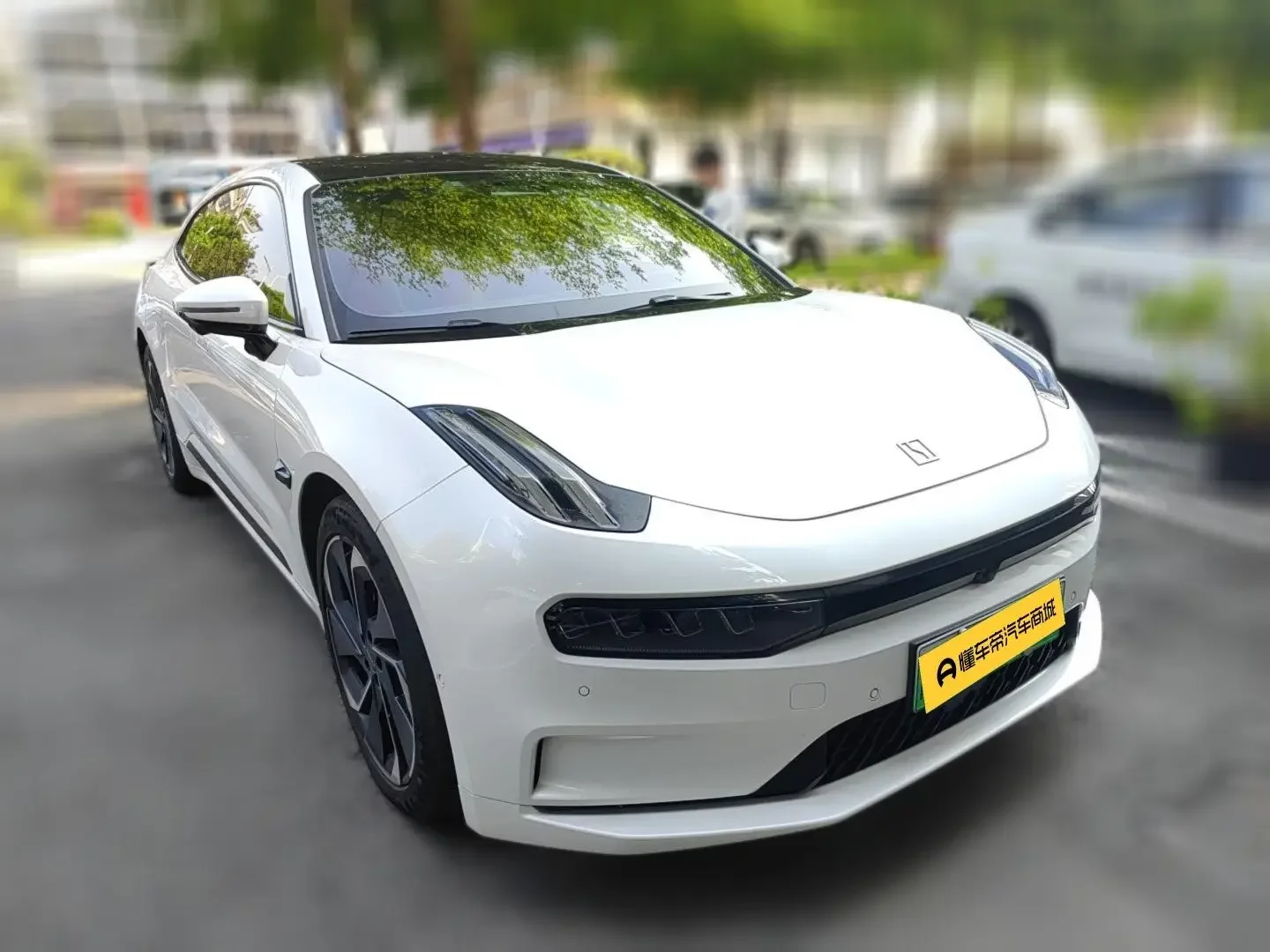 ZEEKR 001