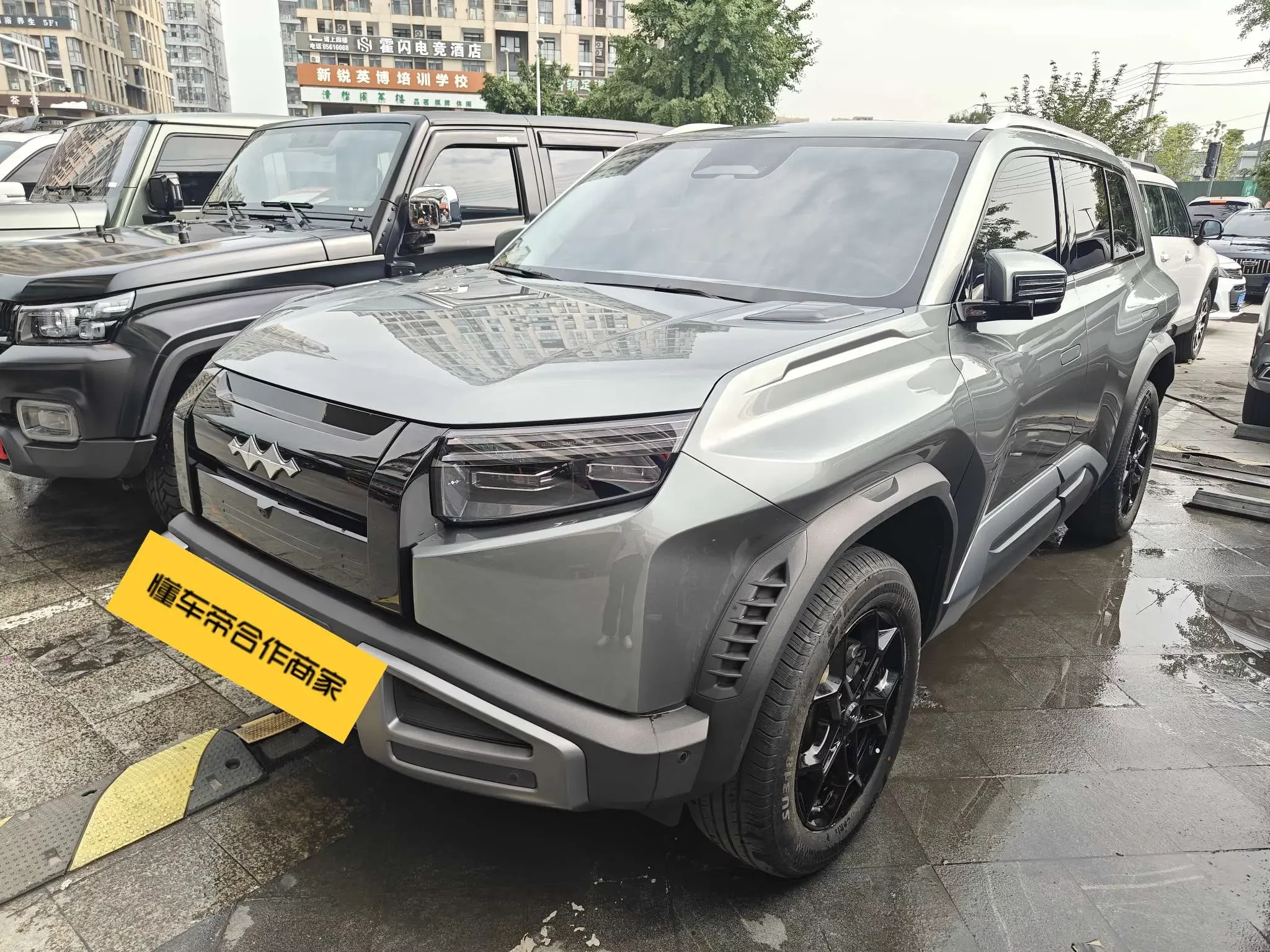 BYD Leopard Titanium 3