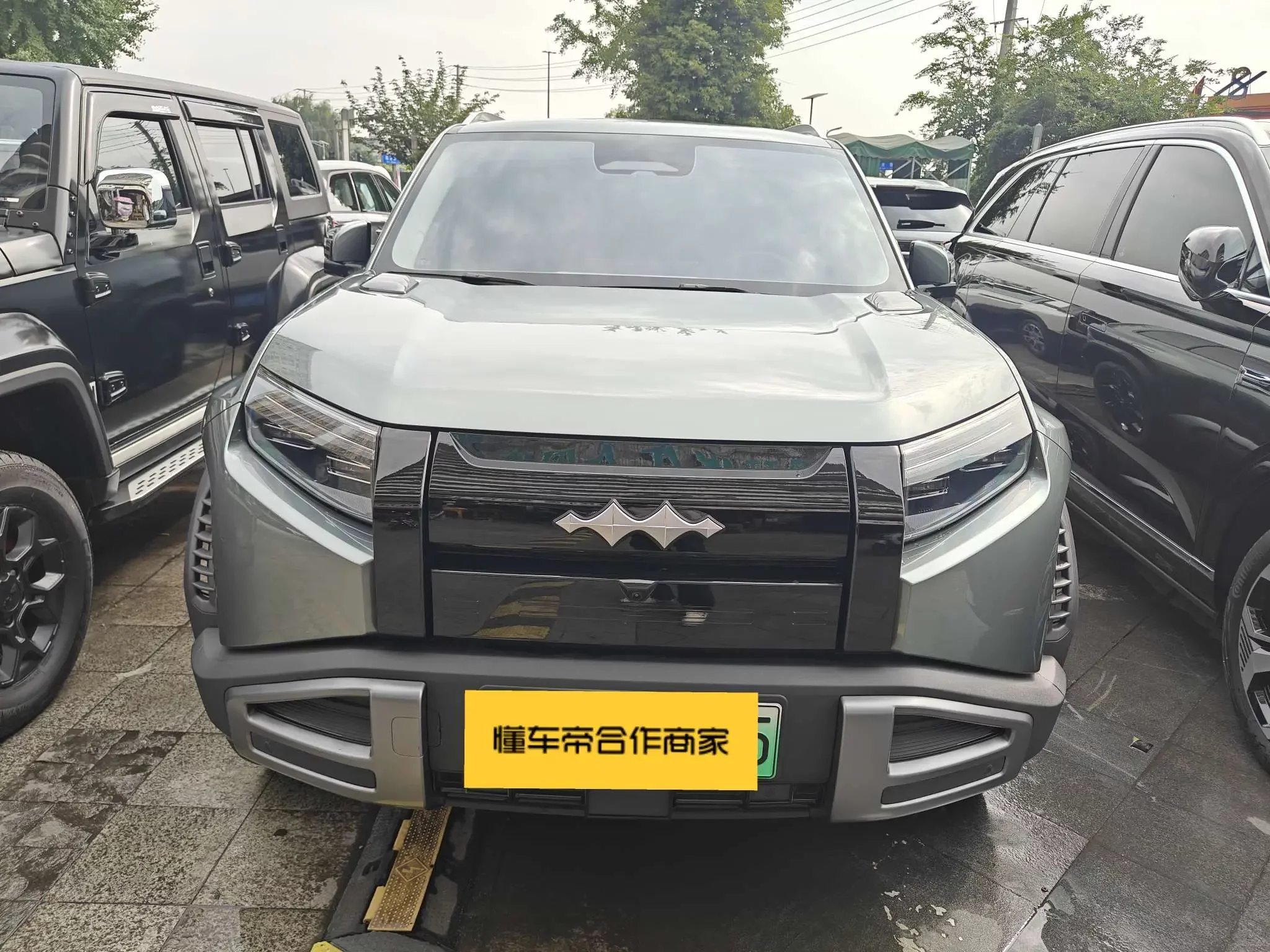 BYD Leopard Titanium 3