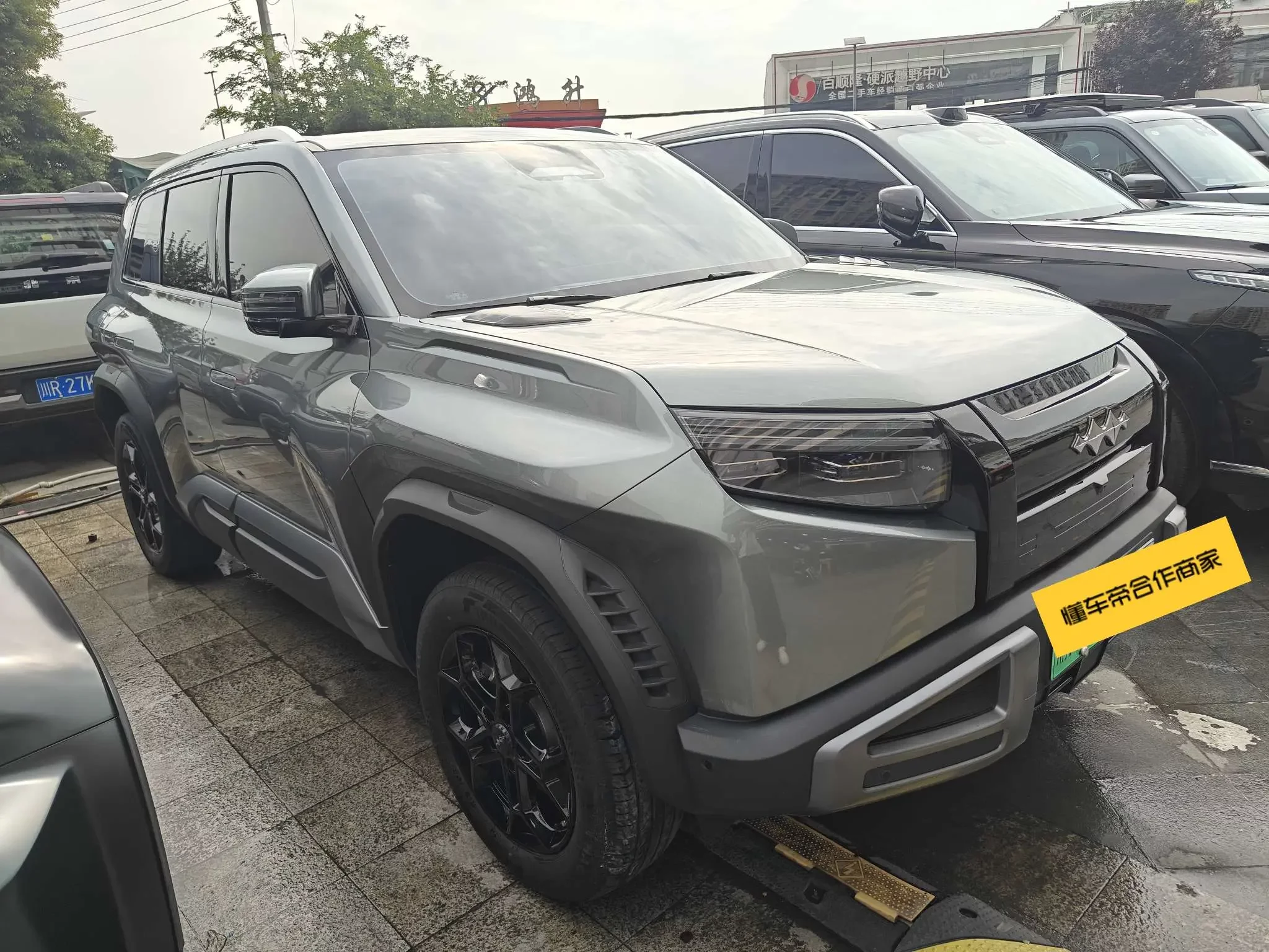 BYD Leopard Titanium 3