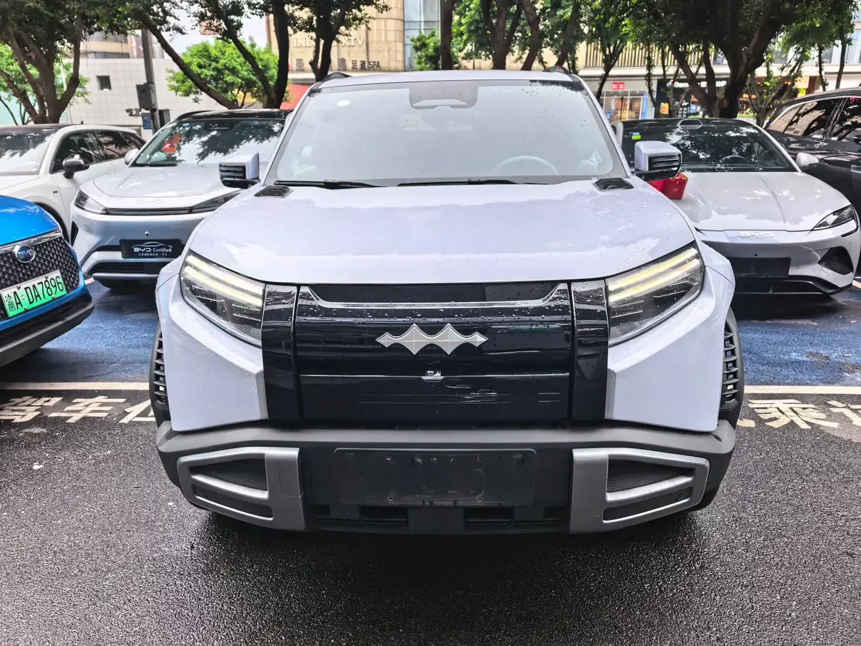 BYD Leopard Titanium 3