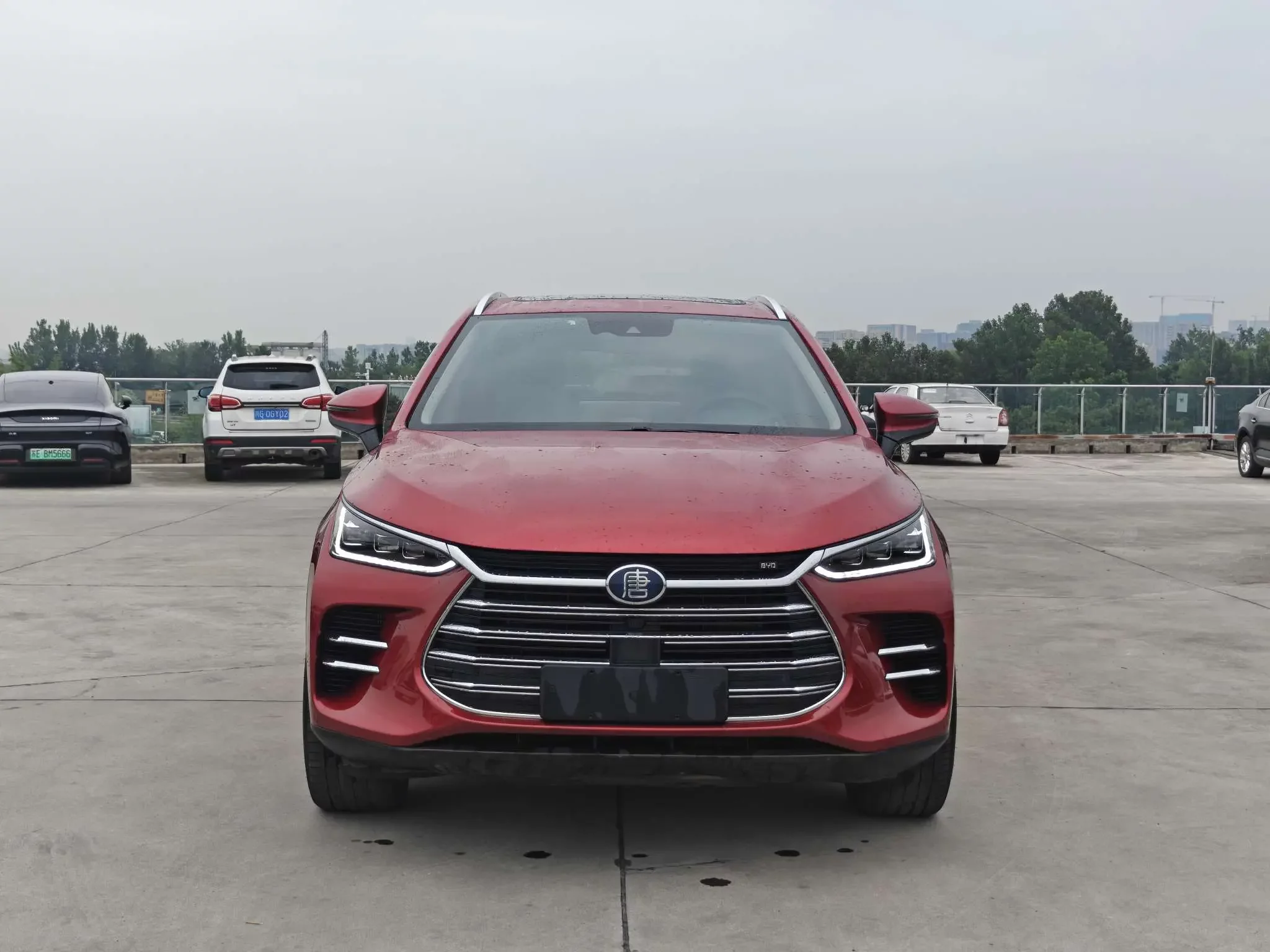 BYD Tang DM