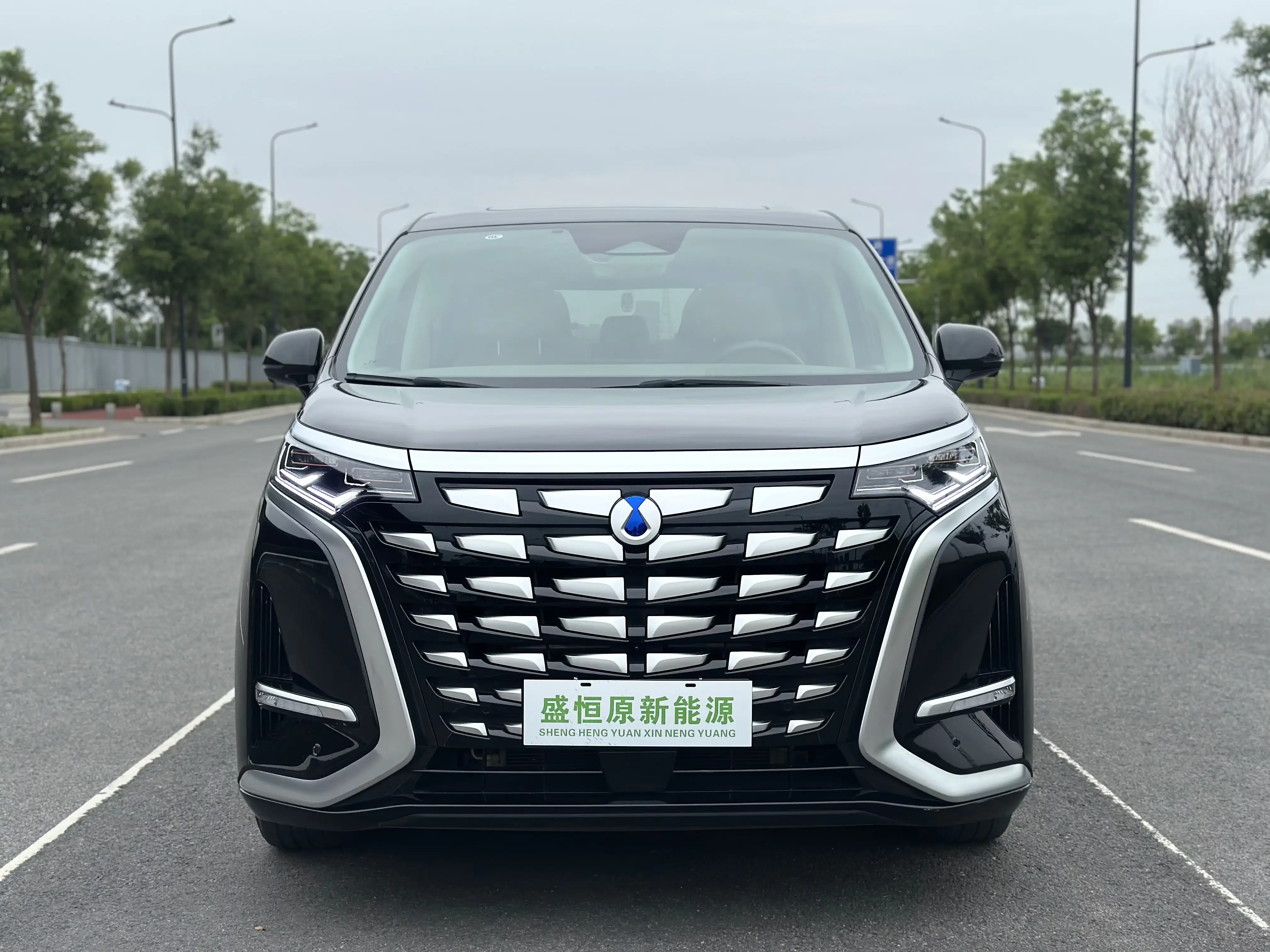Denza D9 DM