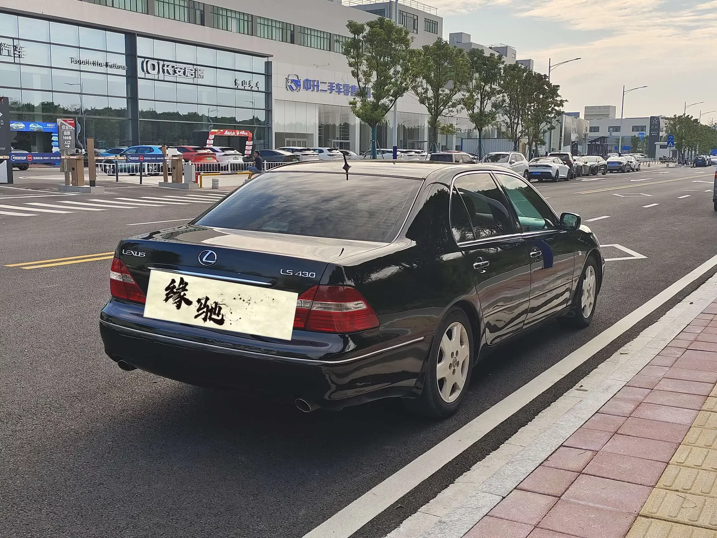 Lexus LS