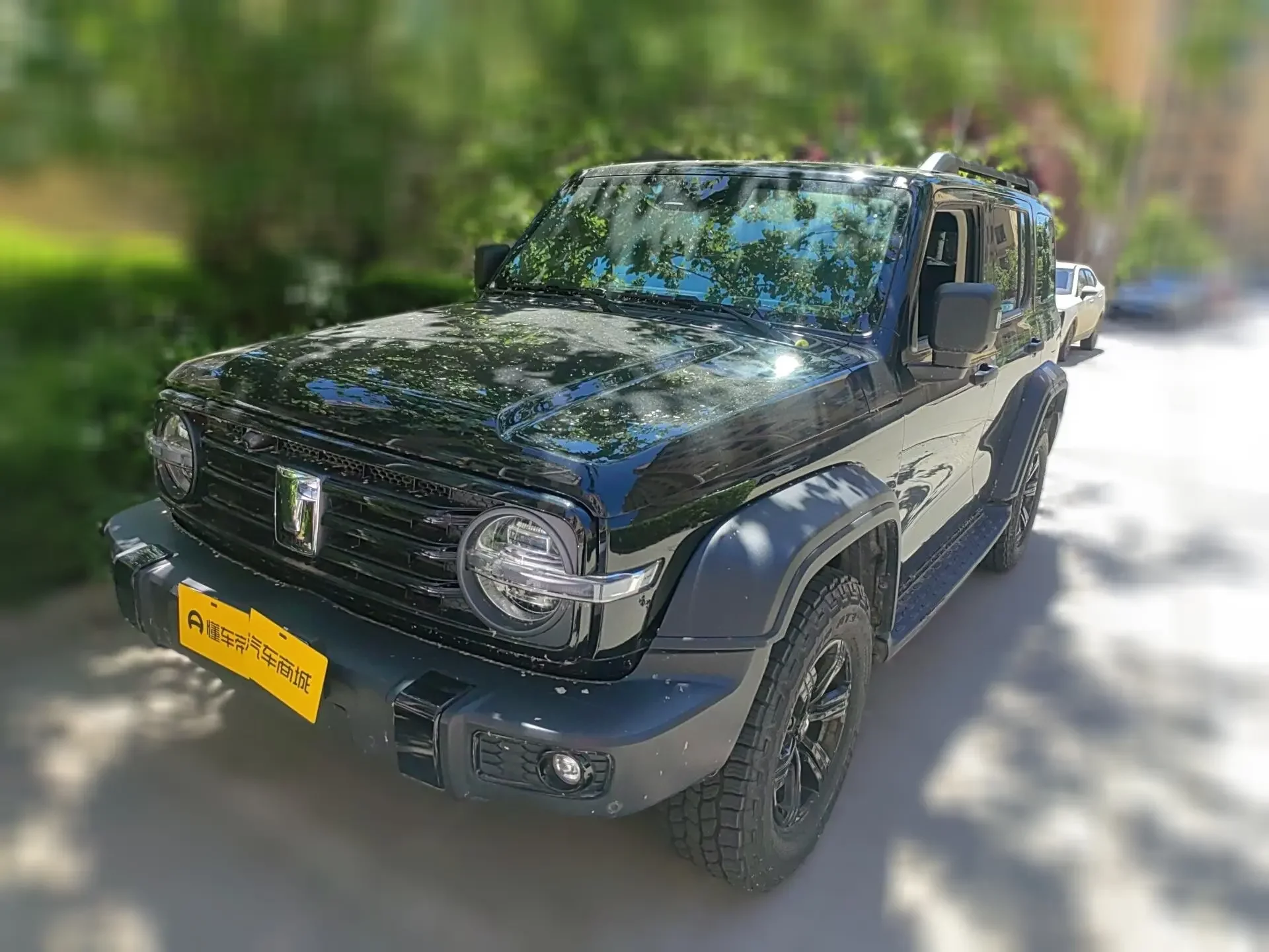 Tank 300