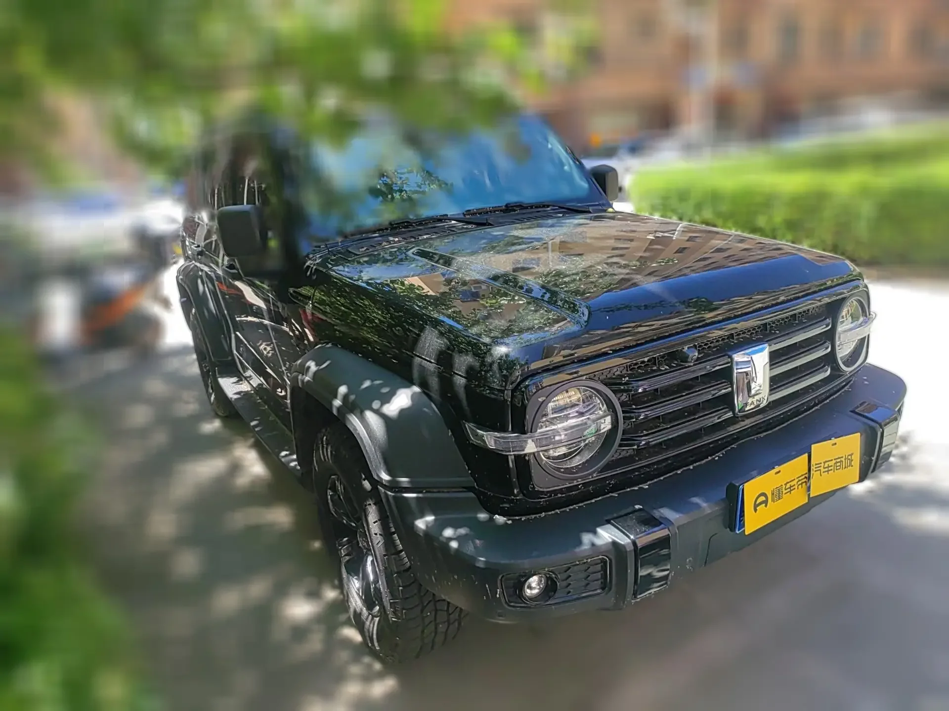 Tank 300
