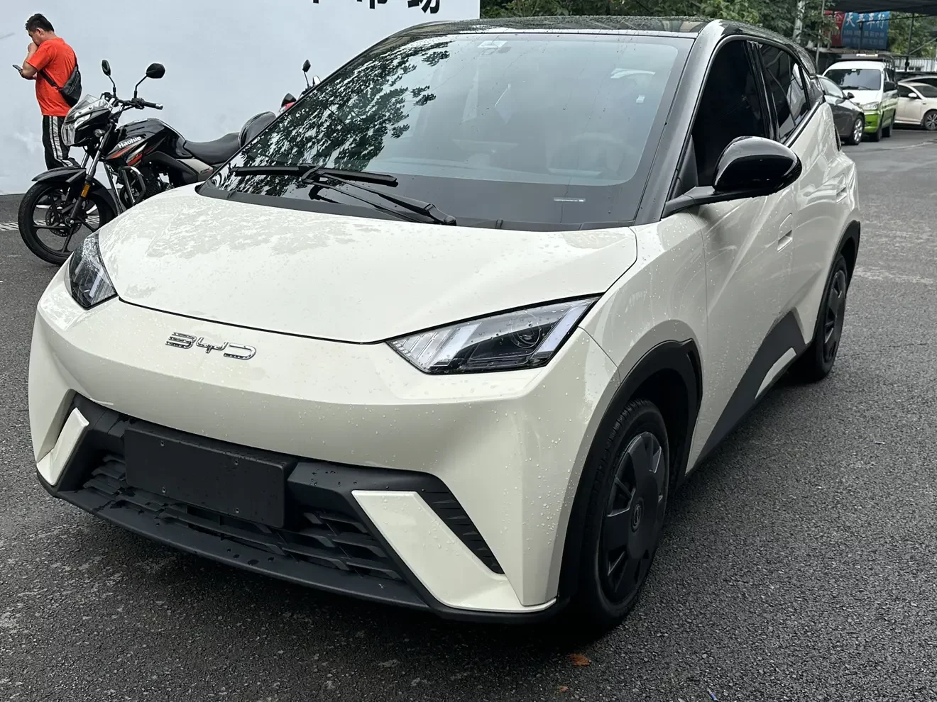 BYD seagull