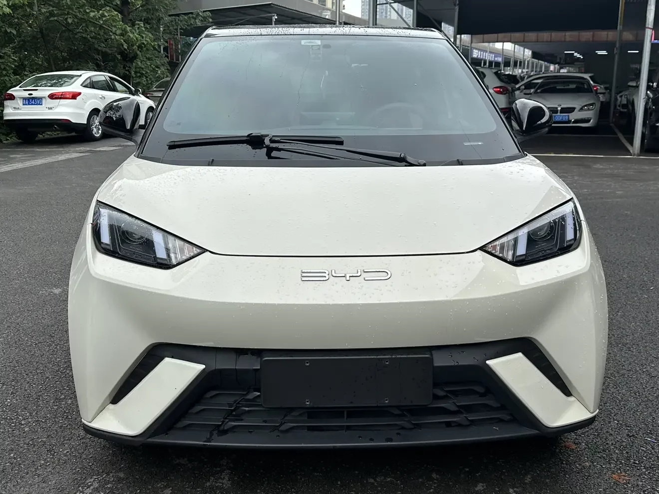 BYD seagull