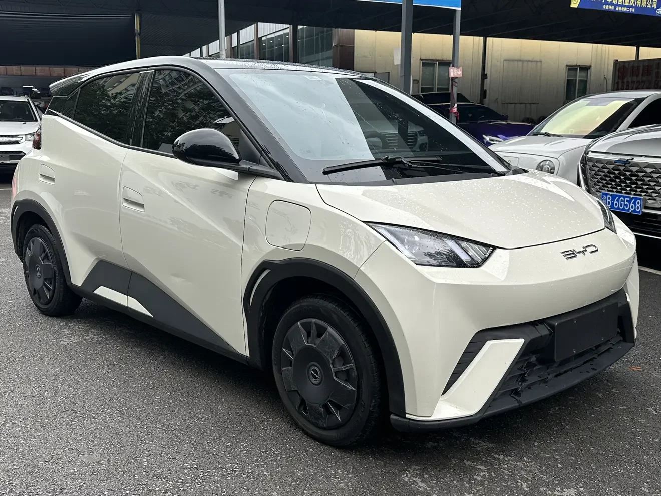 BYD seagull