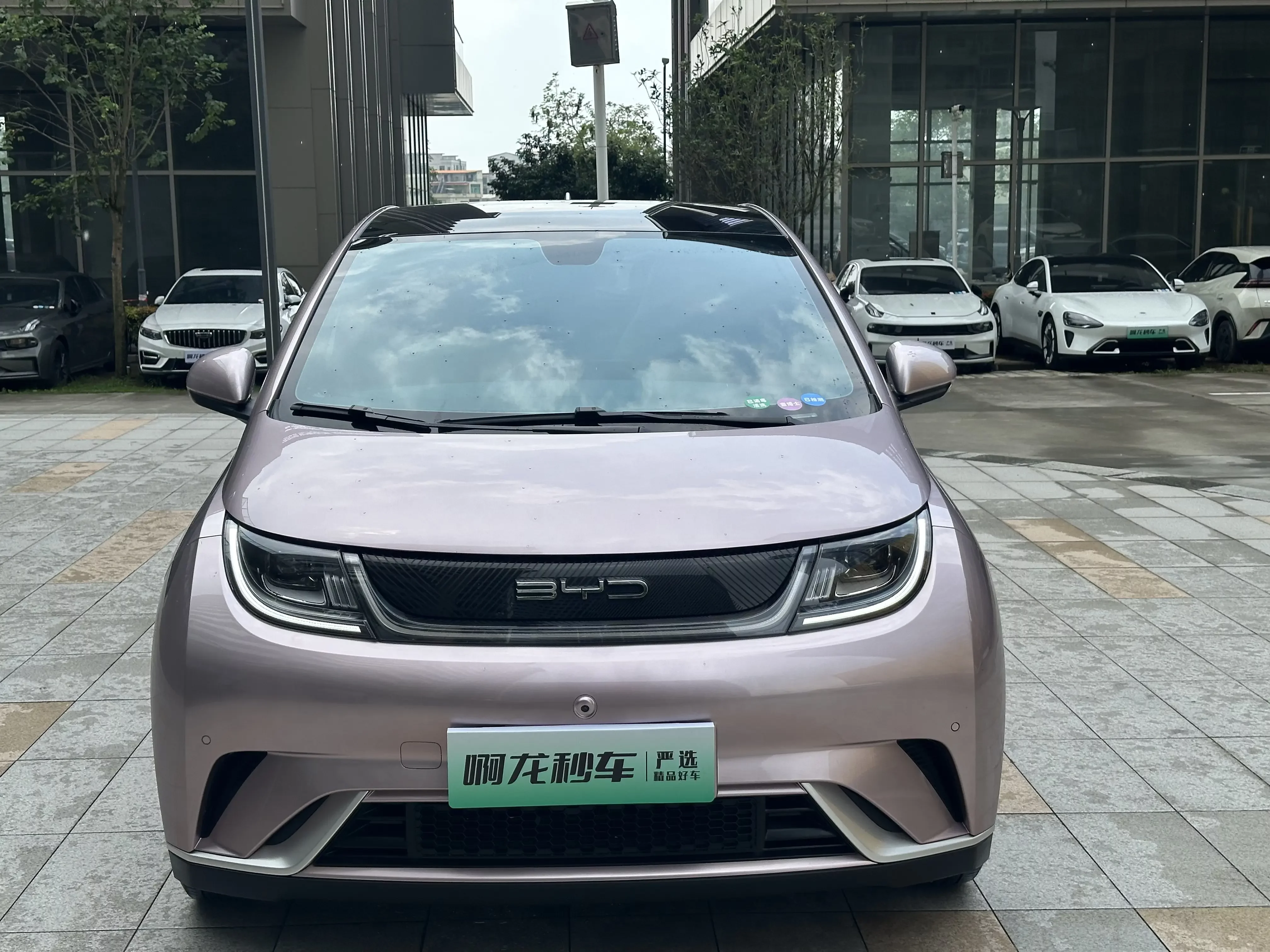 BYD dolphin