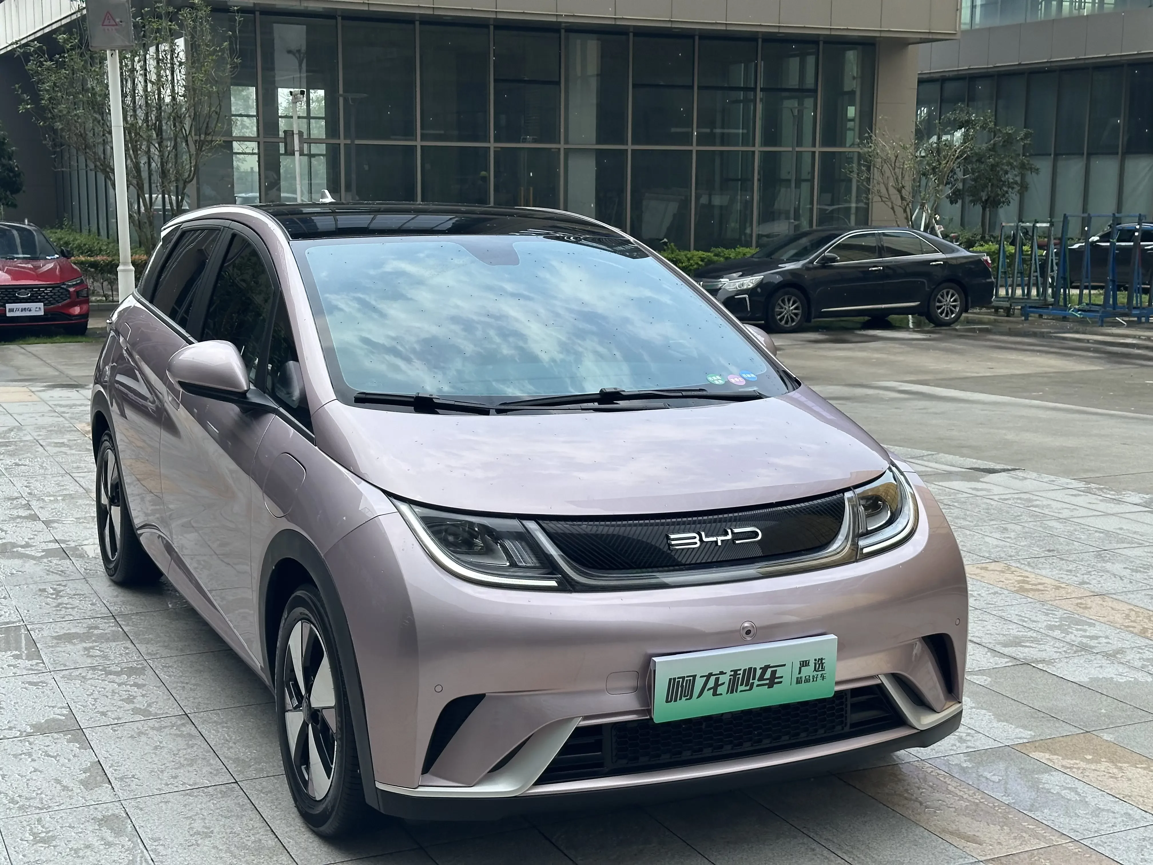 BYD dolphin
