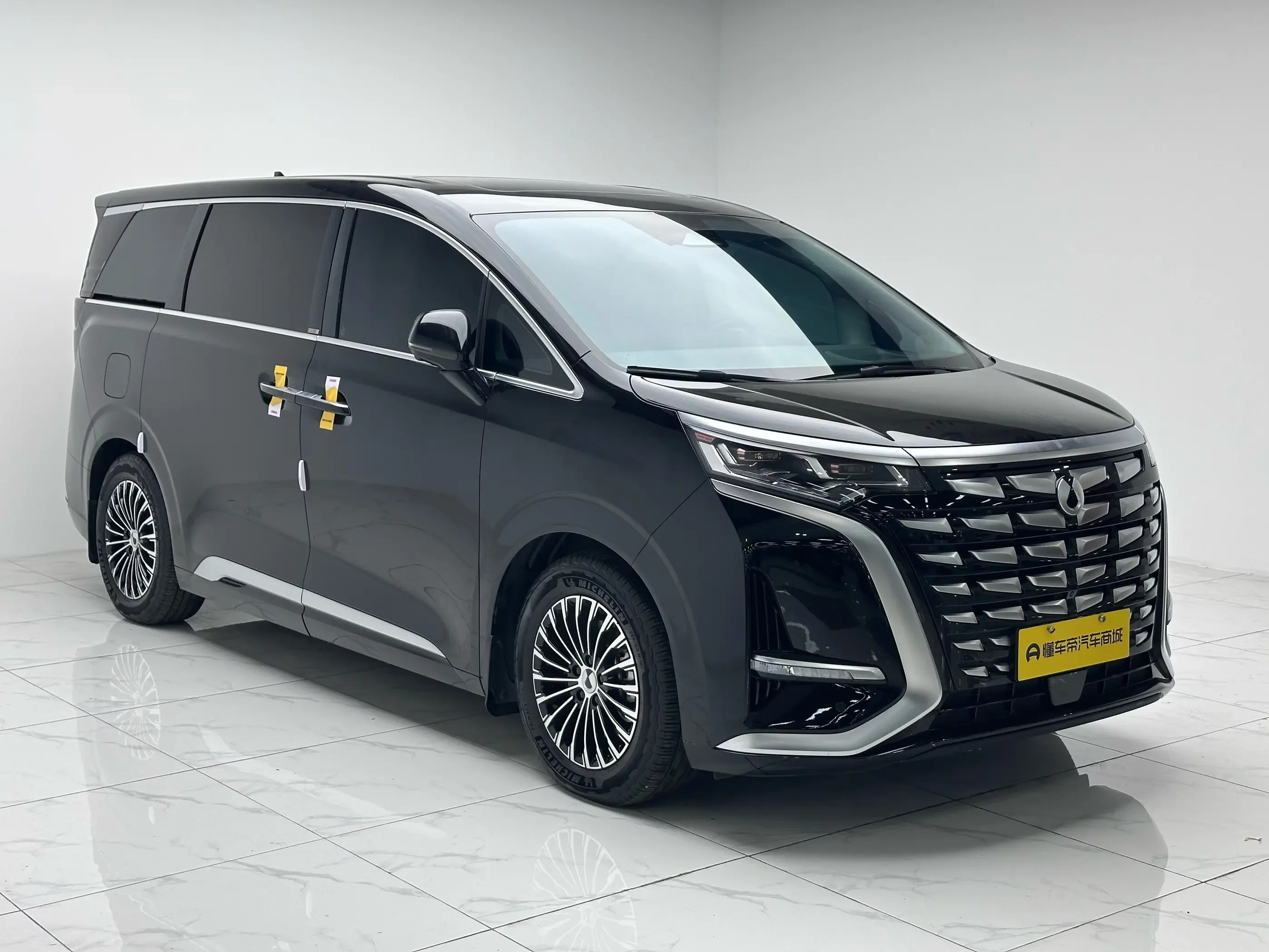 Denza D9 DM