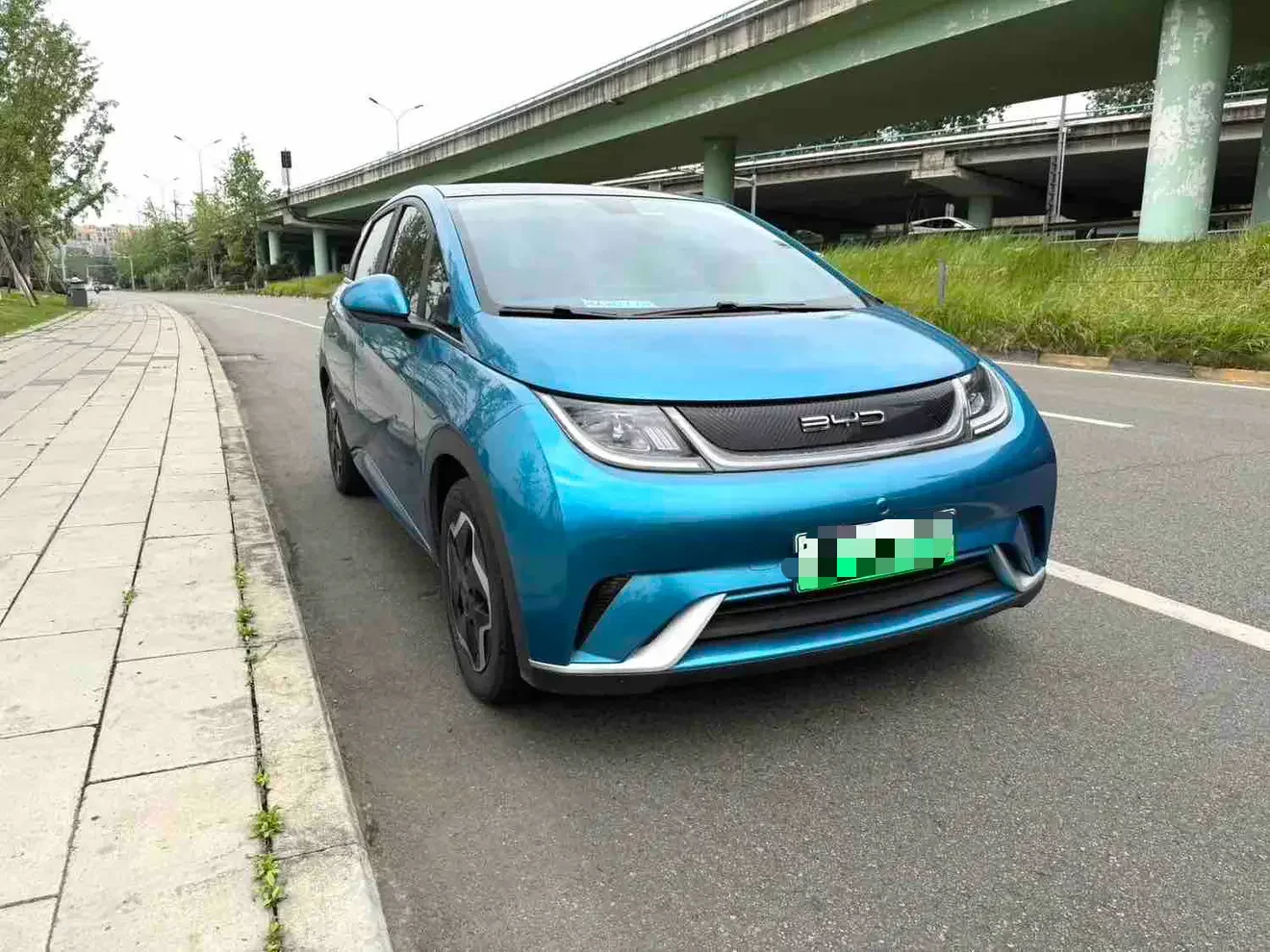 BYD dolphin