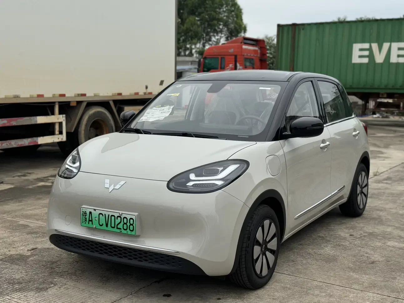 Wuling Bingo