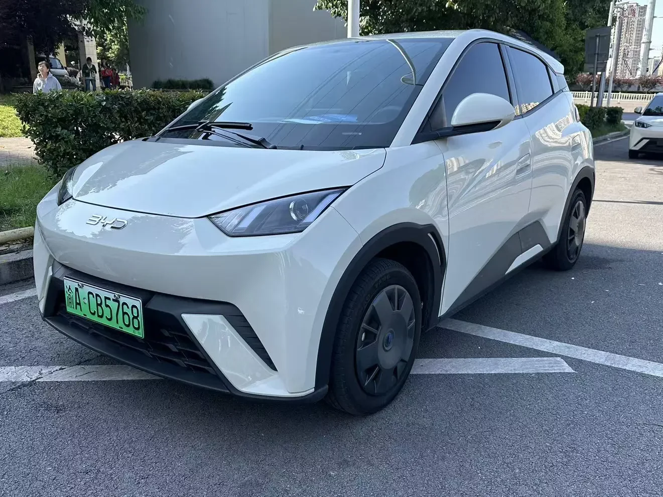 BYD seagull