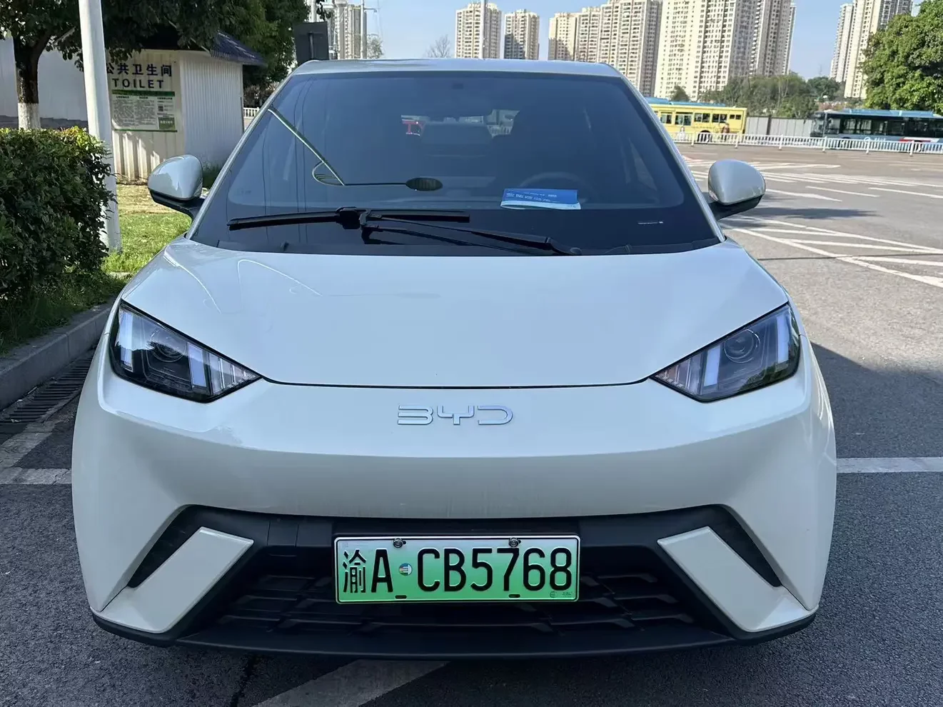 BYD seagull