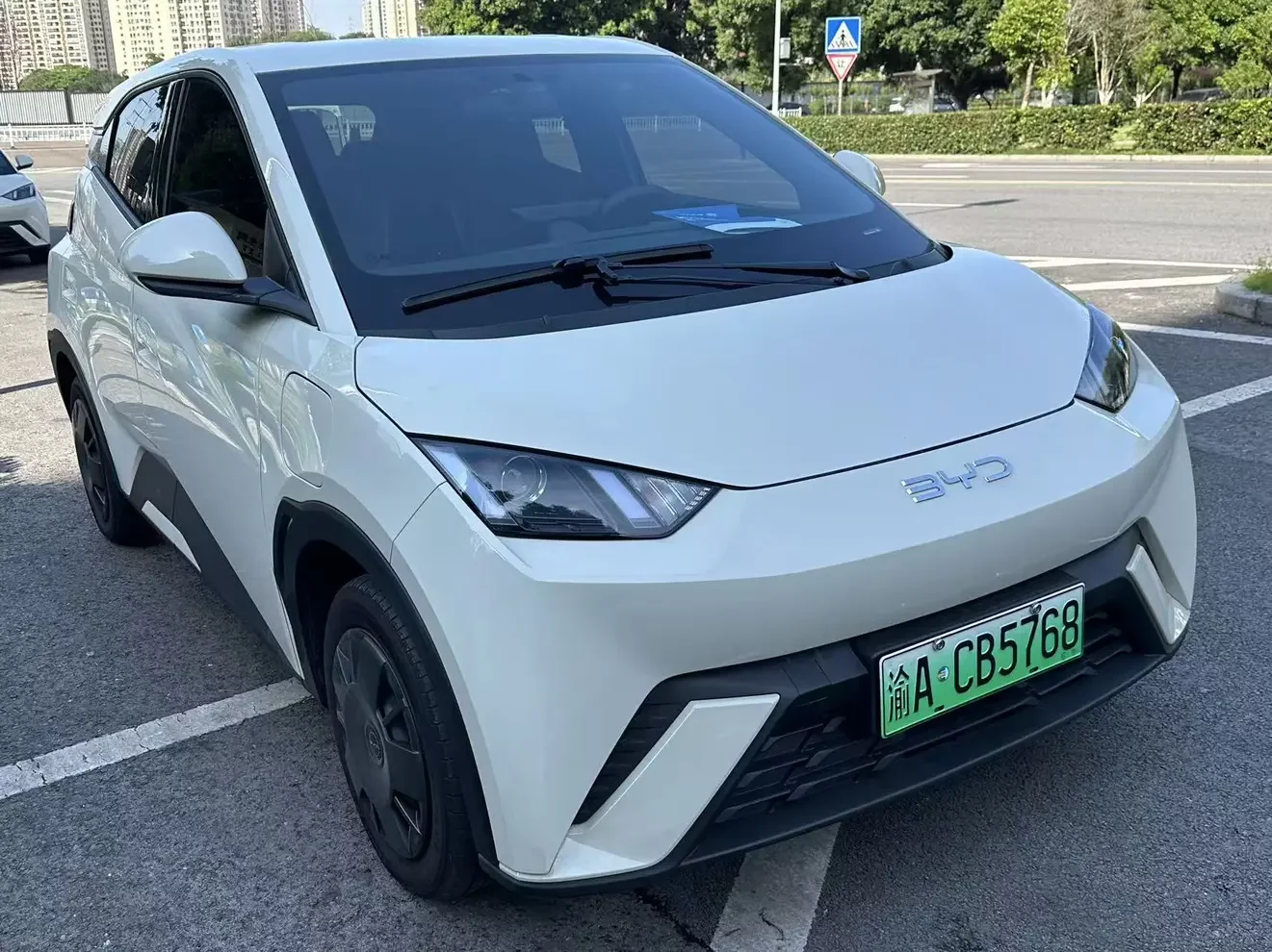 BYD seagull