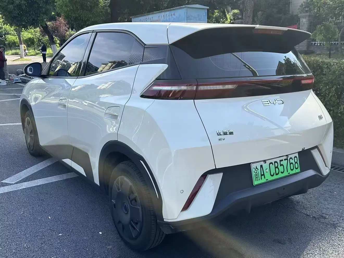 BYD seagull
