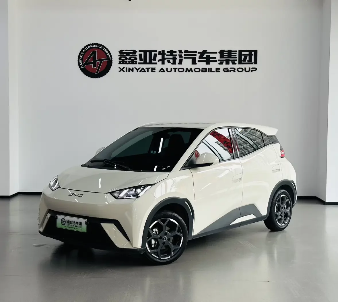 BYD seagull