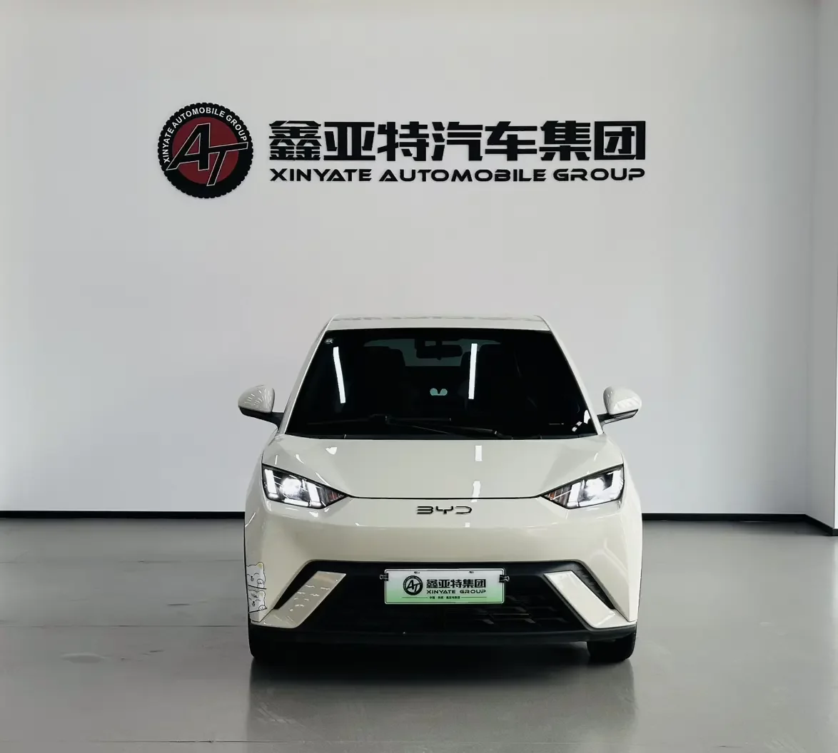 BYD seagull