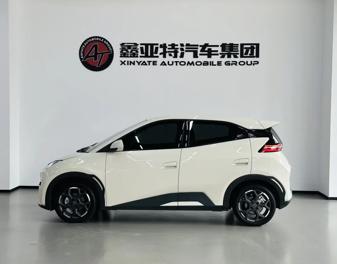 BYD seagull