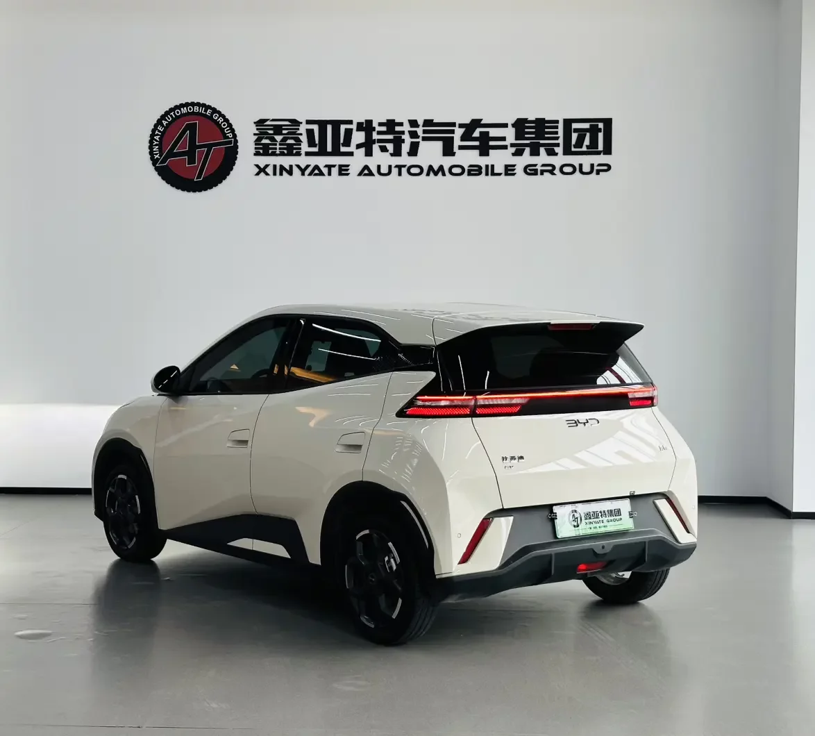 BYD seagull