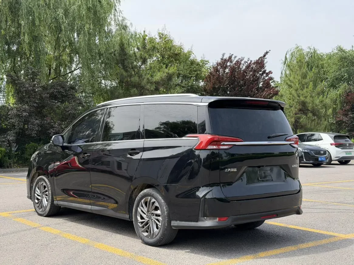 Datong Maxus G50