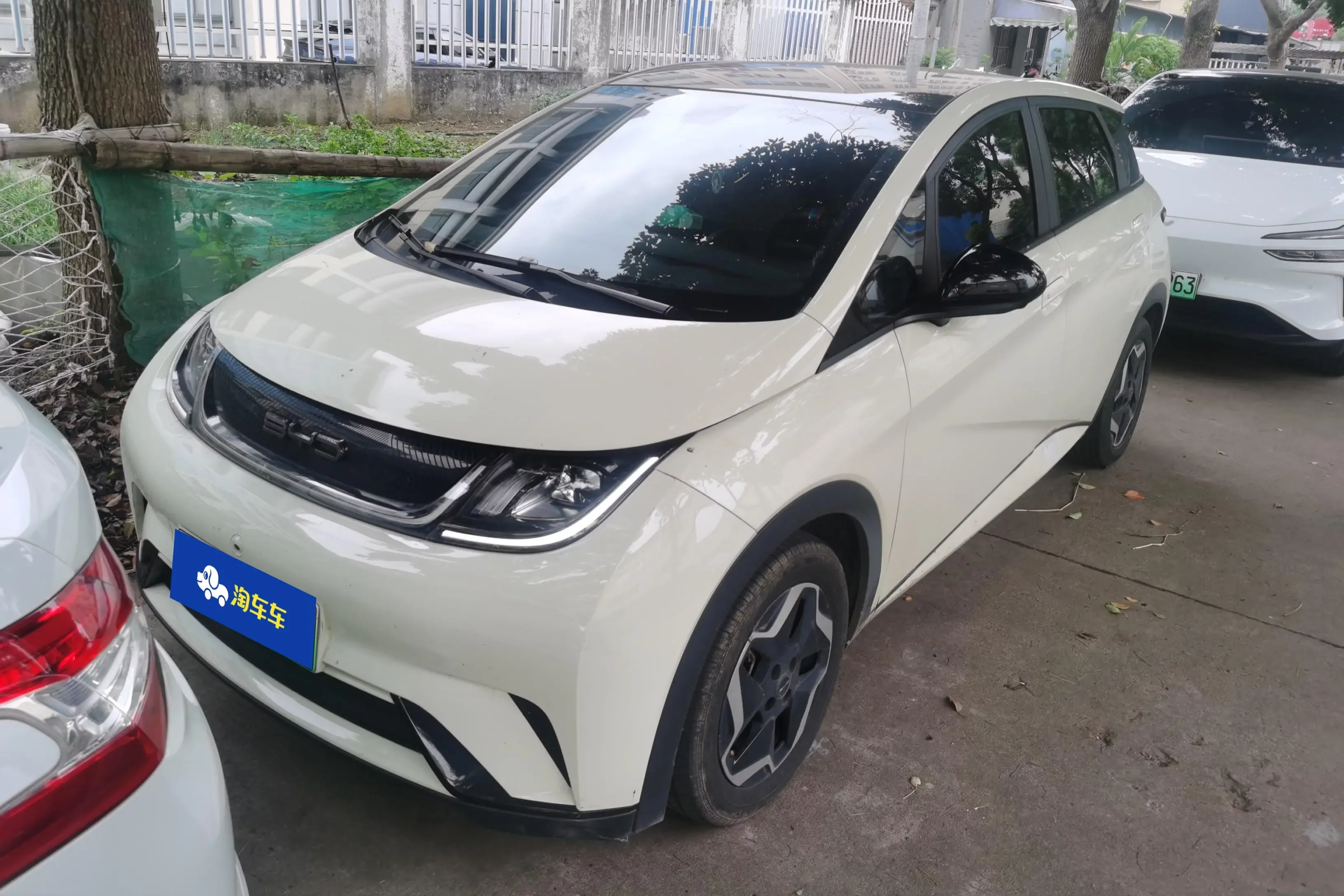 BYD dolphin