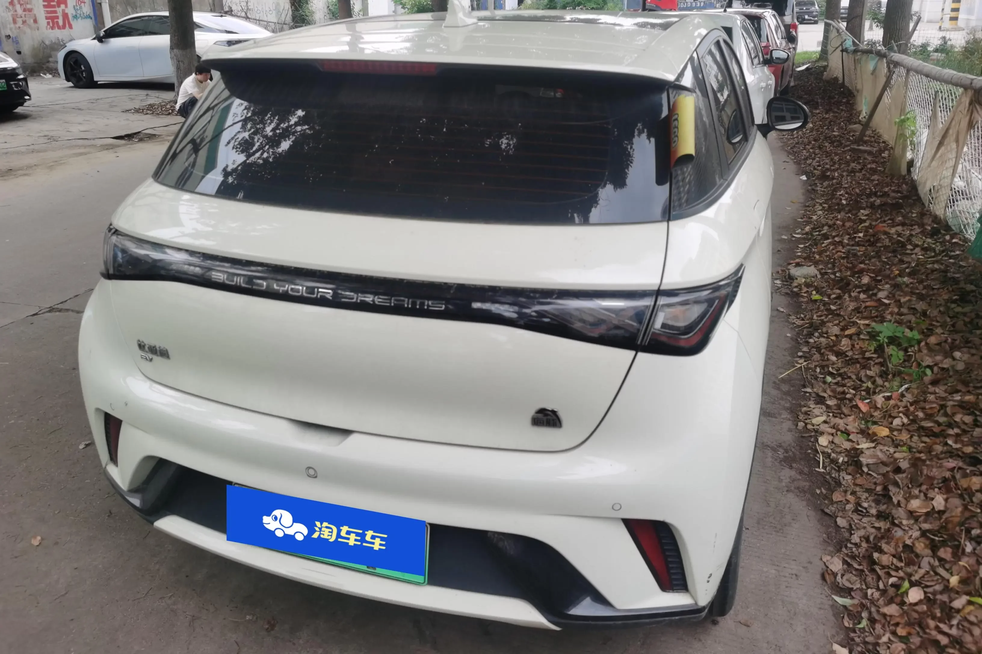 BYD dolphin